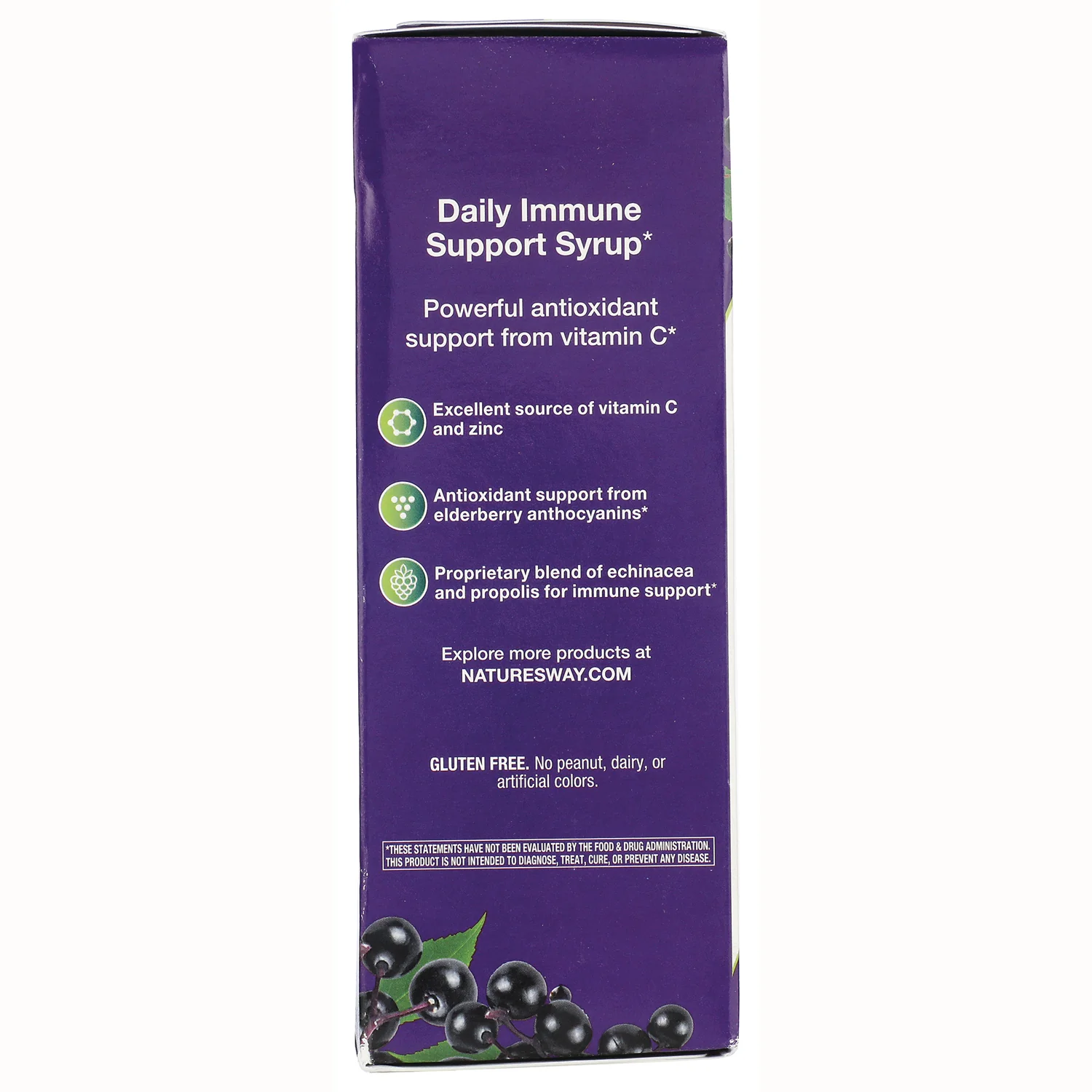 Sambucus Immune Elderberry Syrup - Image 3