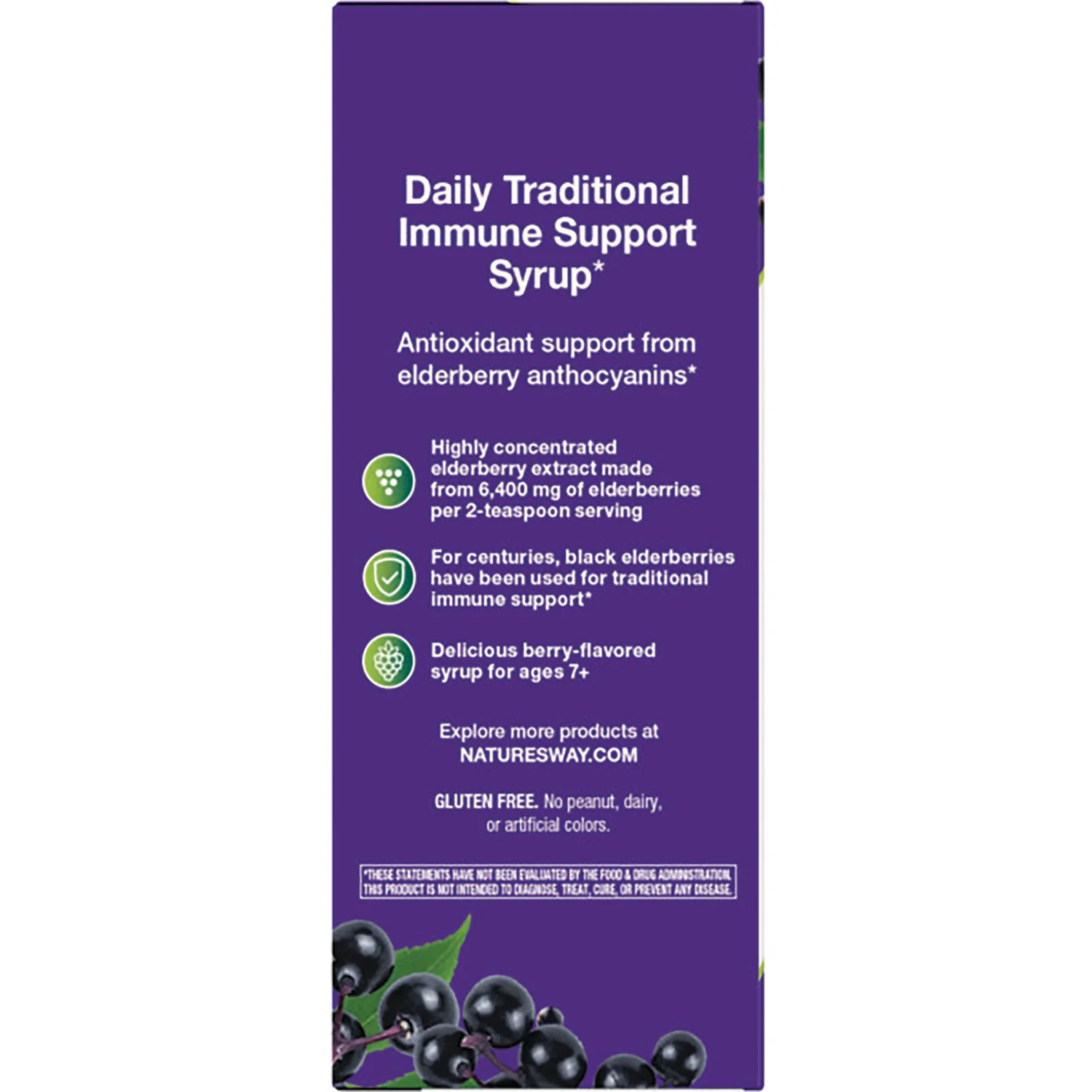 Sambucus Traditional Immune Syrup Elderberry - Image 3
