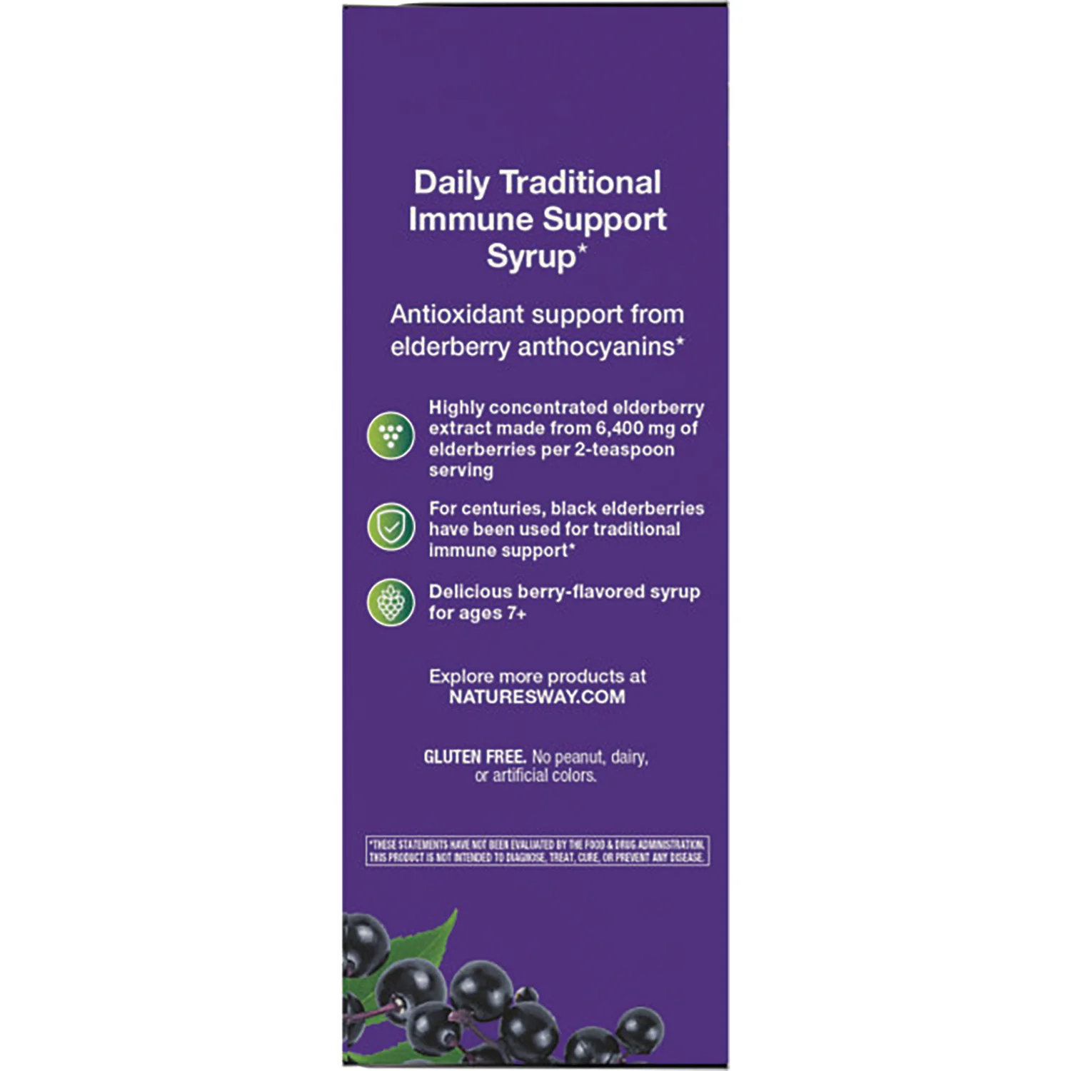 Sambucus Traditional Immune Elderberry Syrup - Image 3