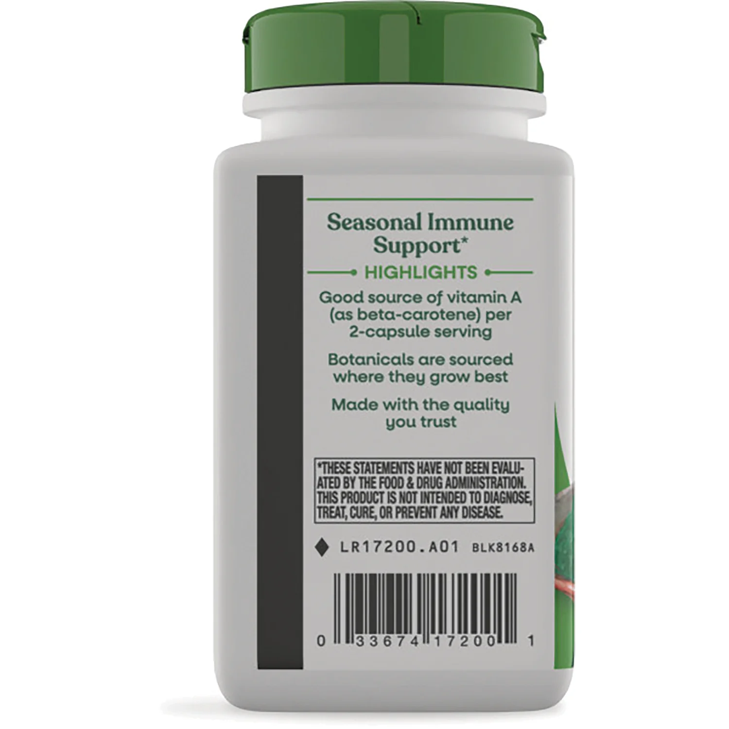 Spirulina Micro-Algae - Image 4