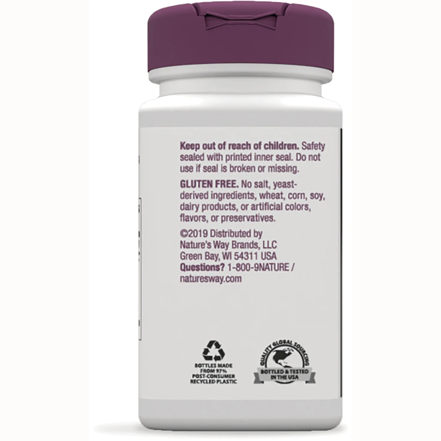 Saw Palmetto - Image 4