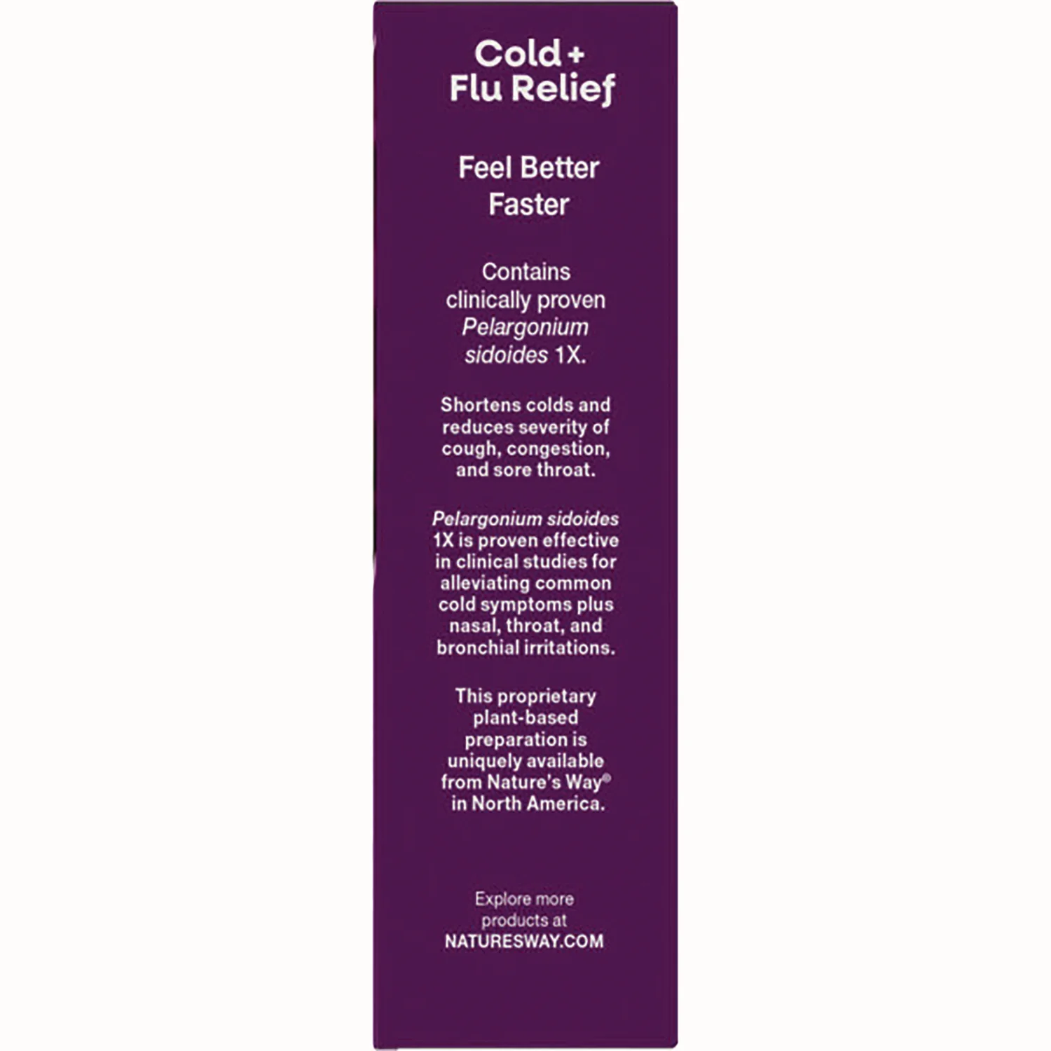Umcka Cold + Flu Relief - Berry - Image 3