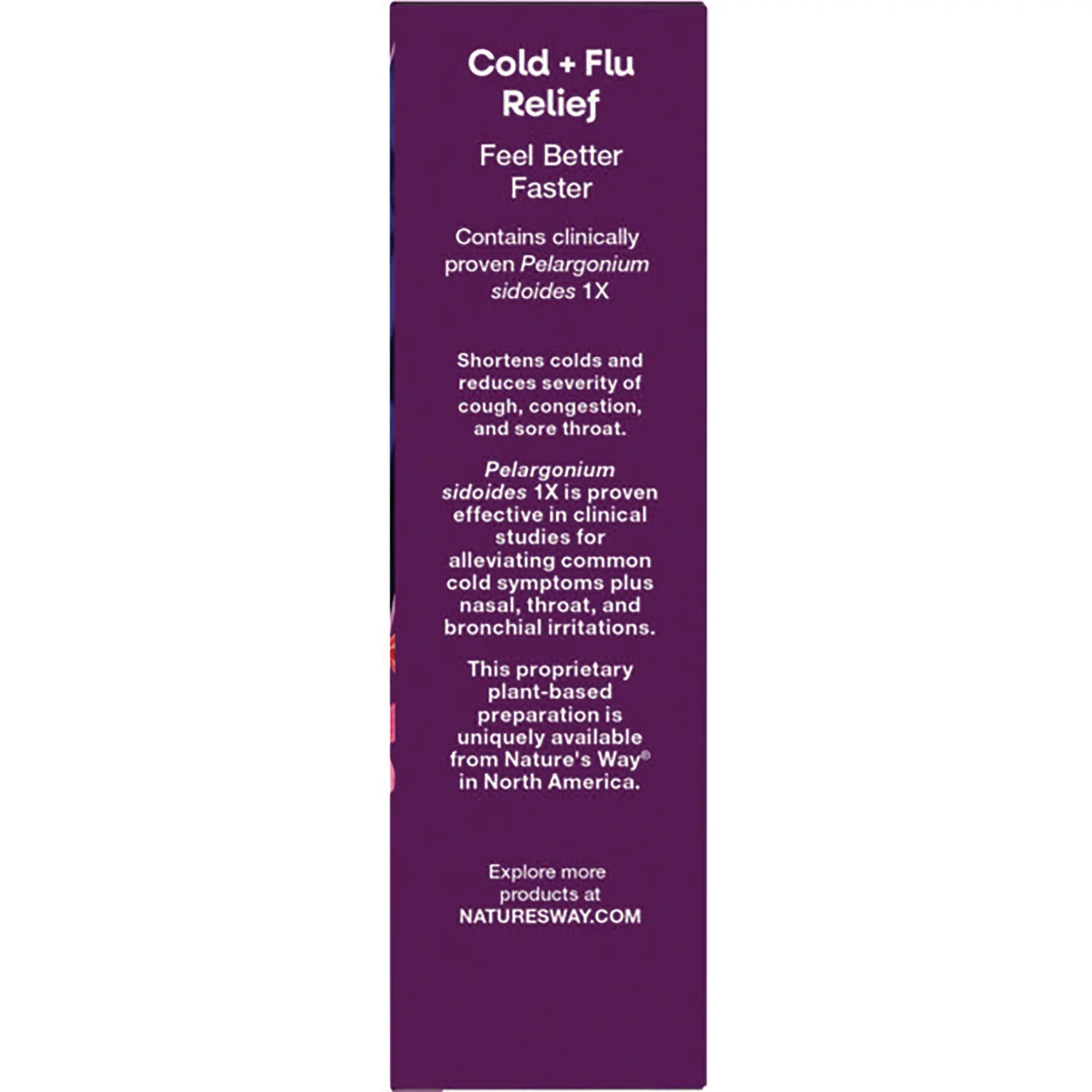 Umcka Cold + Flu Relief - Orange - Image 3