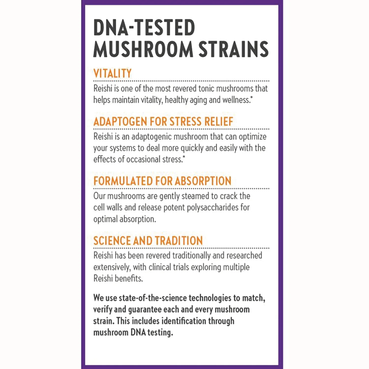 Reishi Mushroom Blend - Image 4