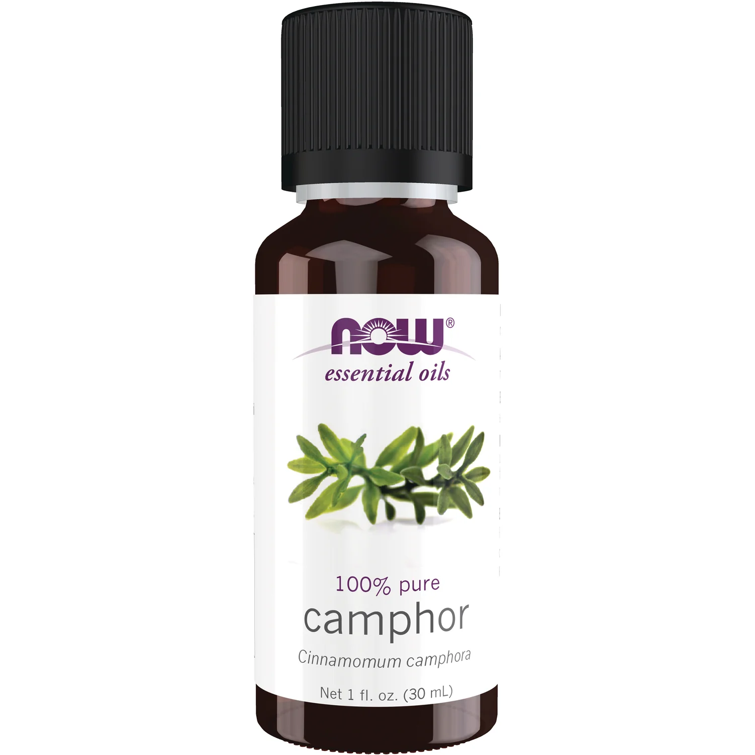 100% Pure Camphor