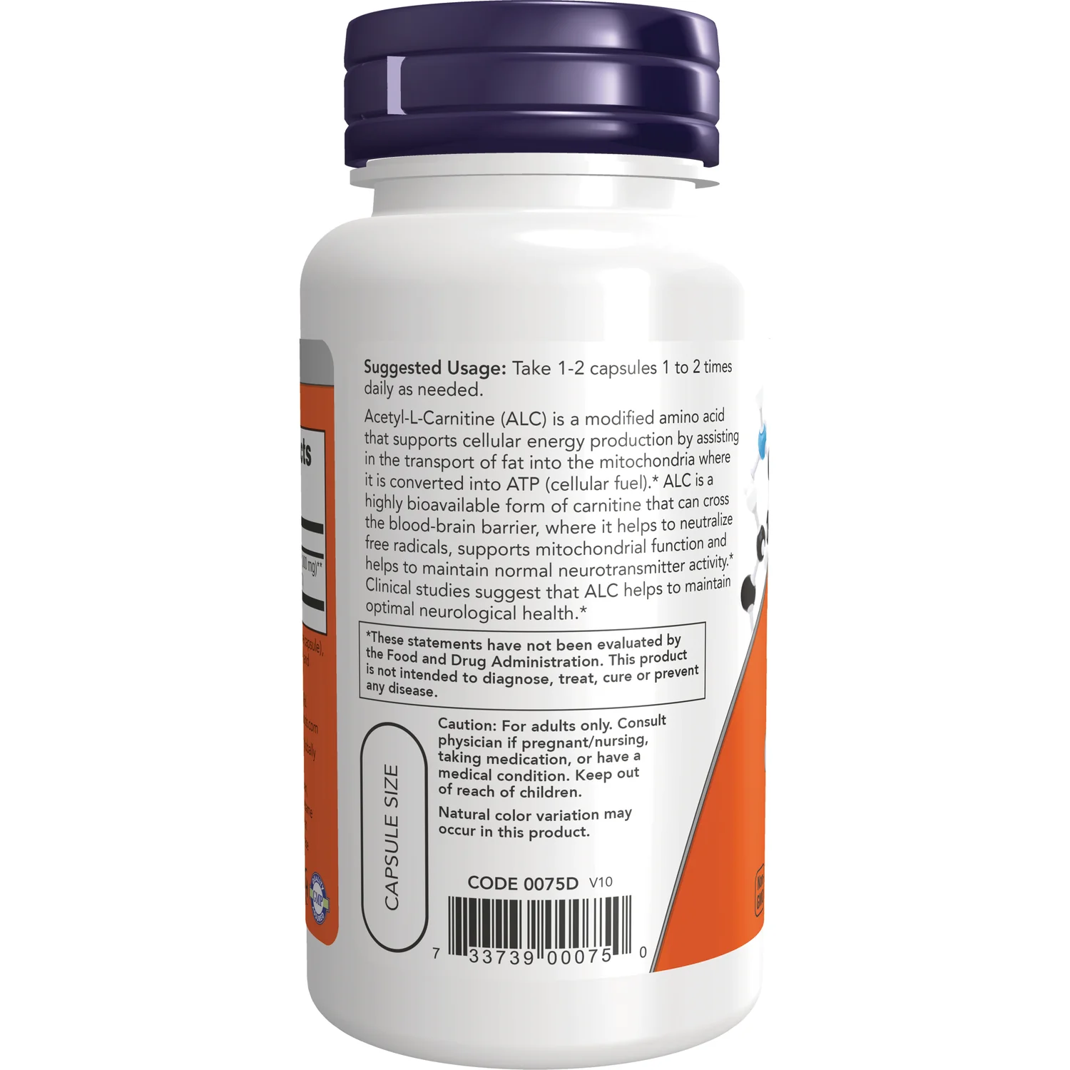 Acetyl L-Carnitine - Image 3