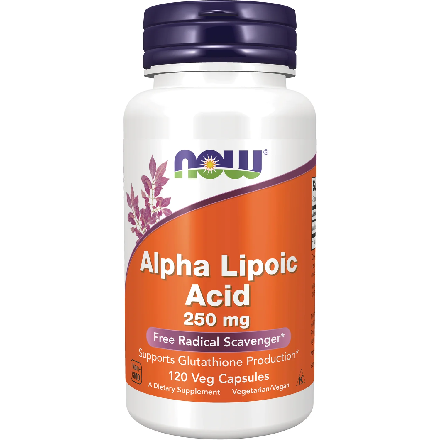 Alpha Lipoic Acid 250 mg - Image 2