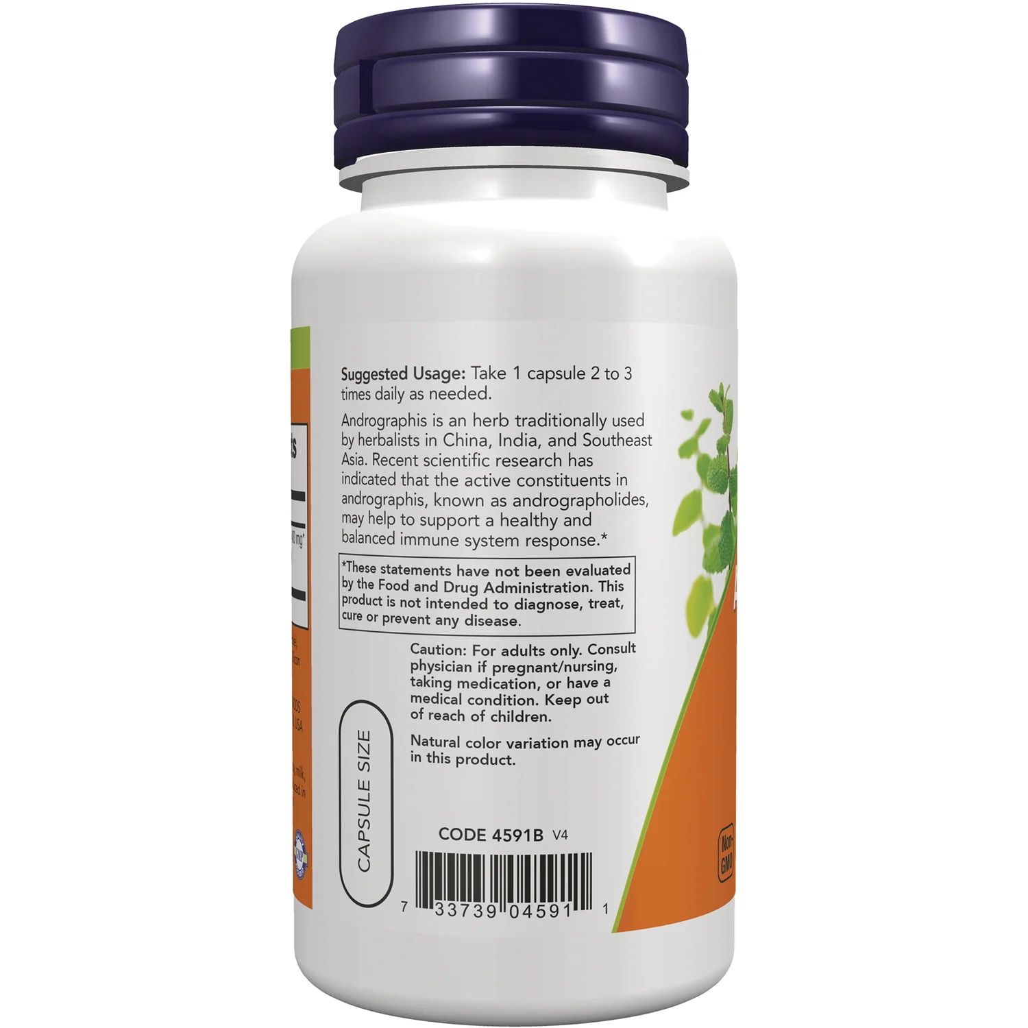 Andrographis Extract - Image 3