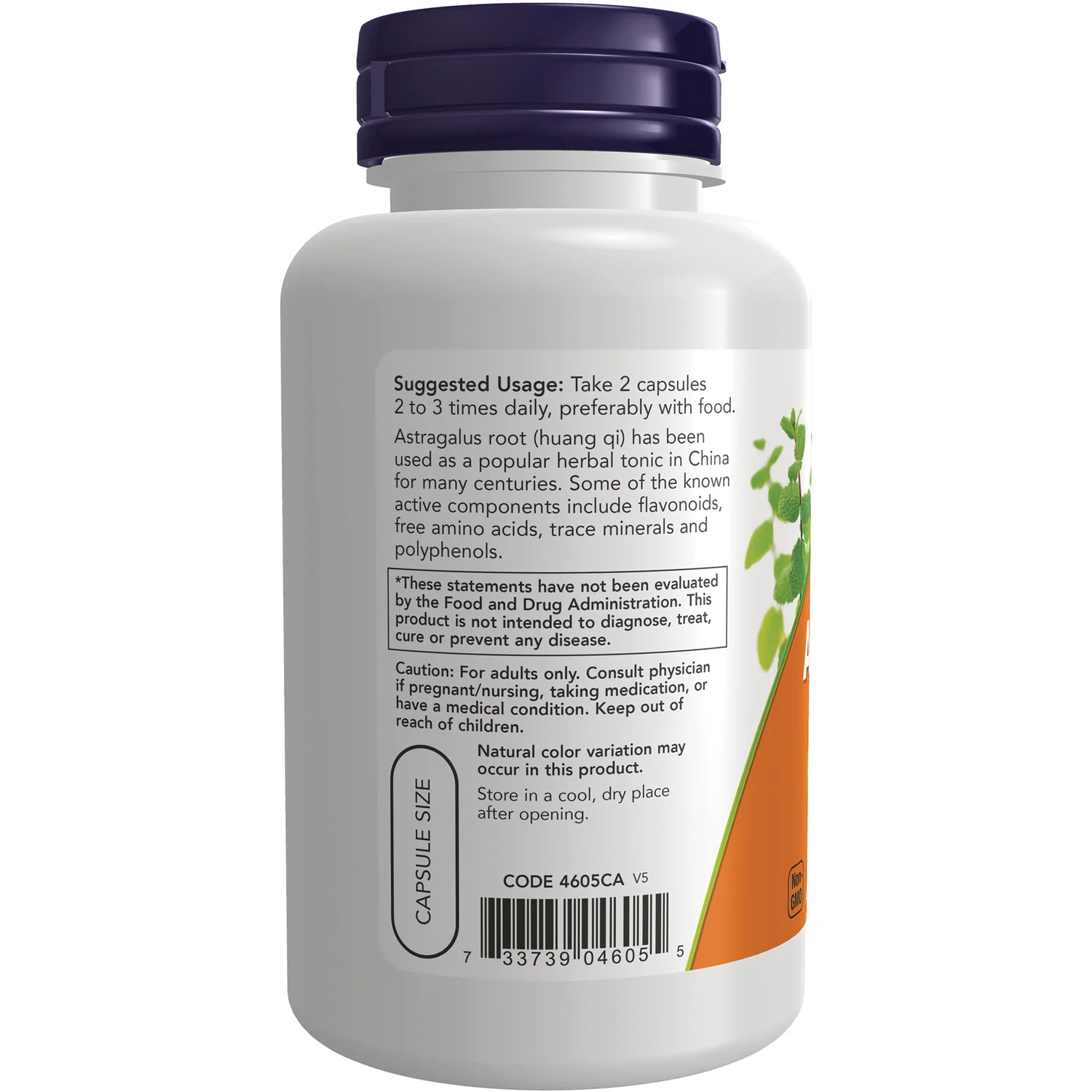 Astragalus - Image 3