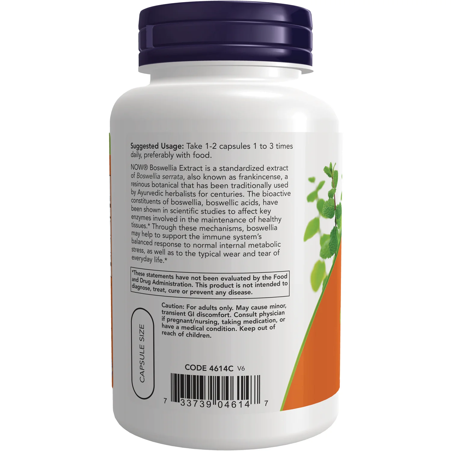 Boswellia Extract - Image 3