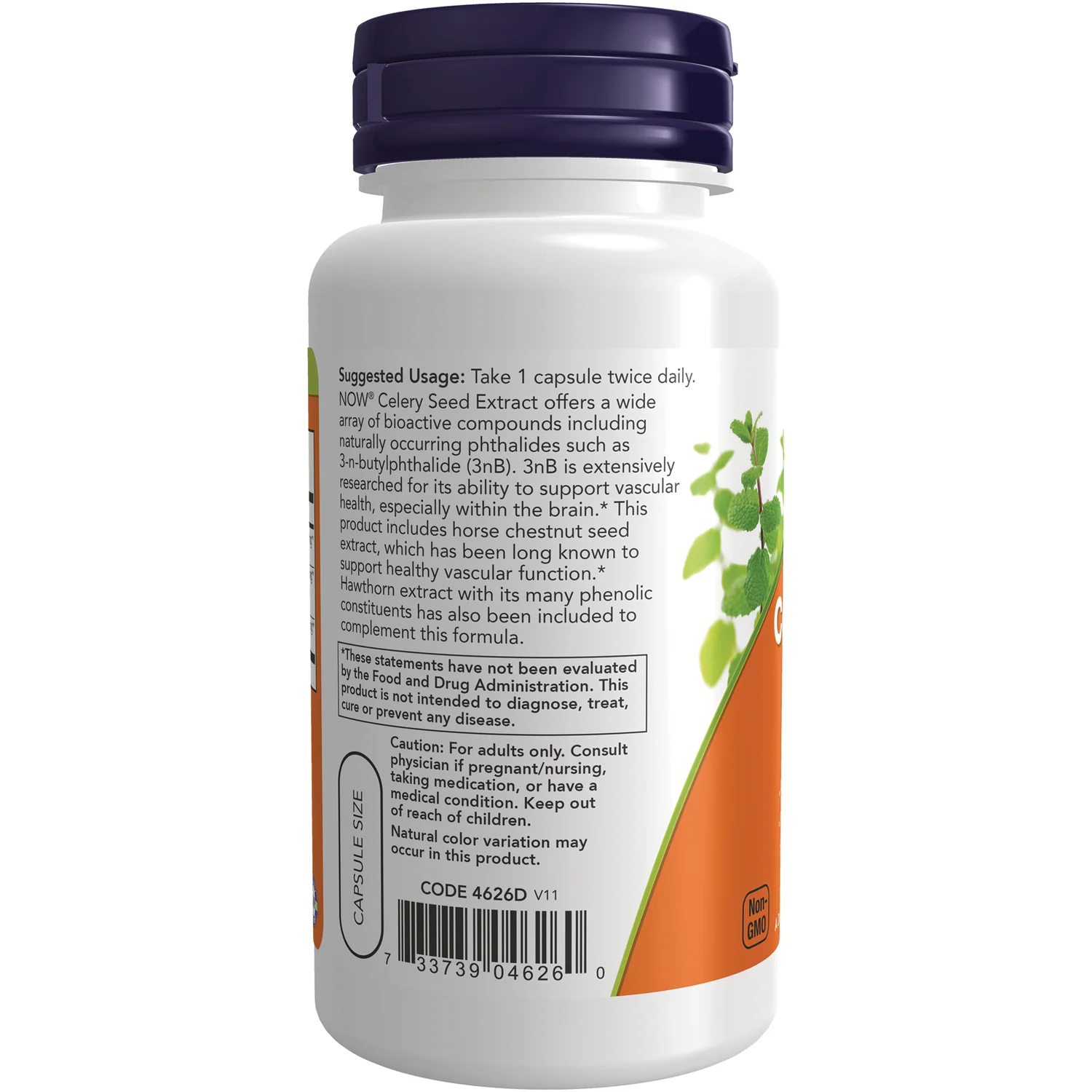 Celery Seed Extract - Image 3