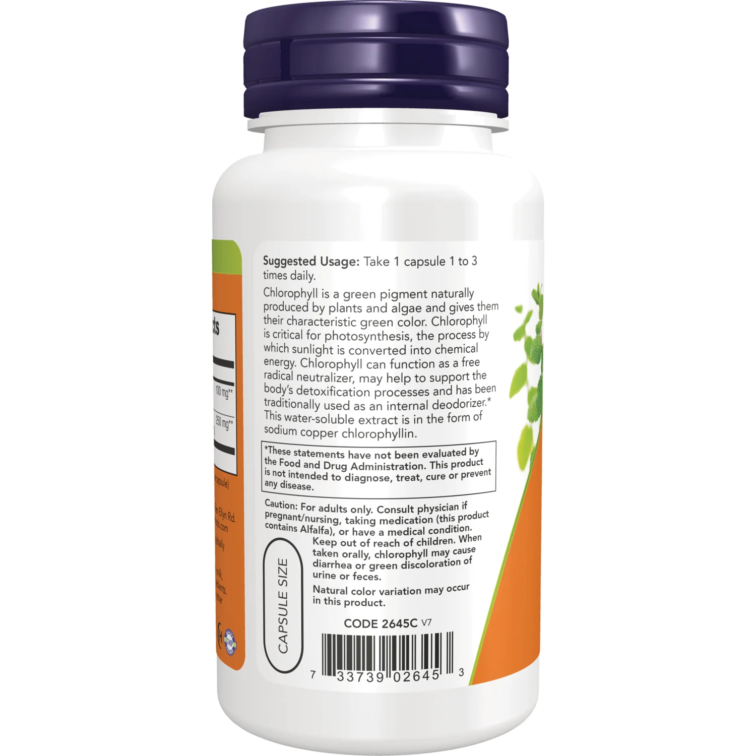 Chlorophyll - Image 3