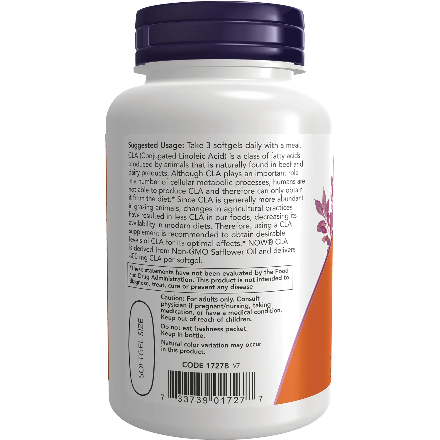 CLA - Image 3