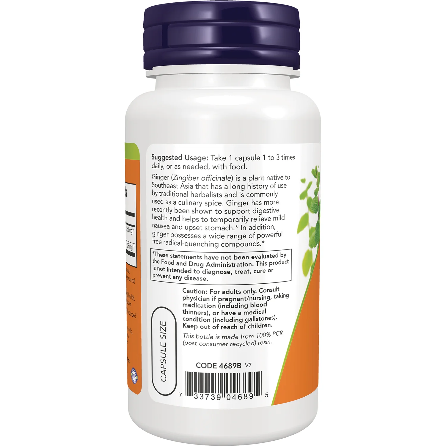 Ginger Root Extract - Image 3