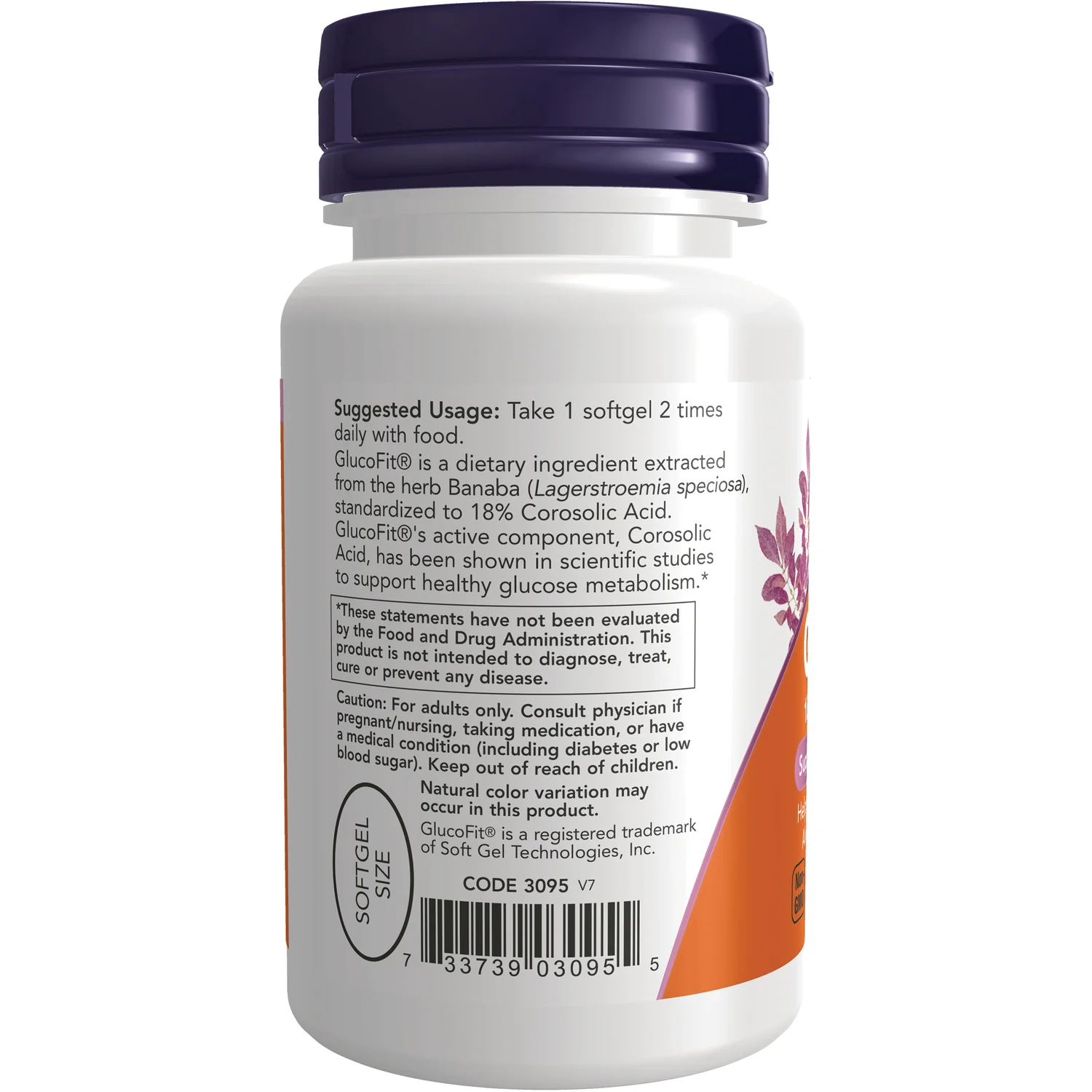 GlucoFit - Image 3