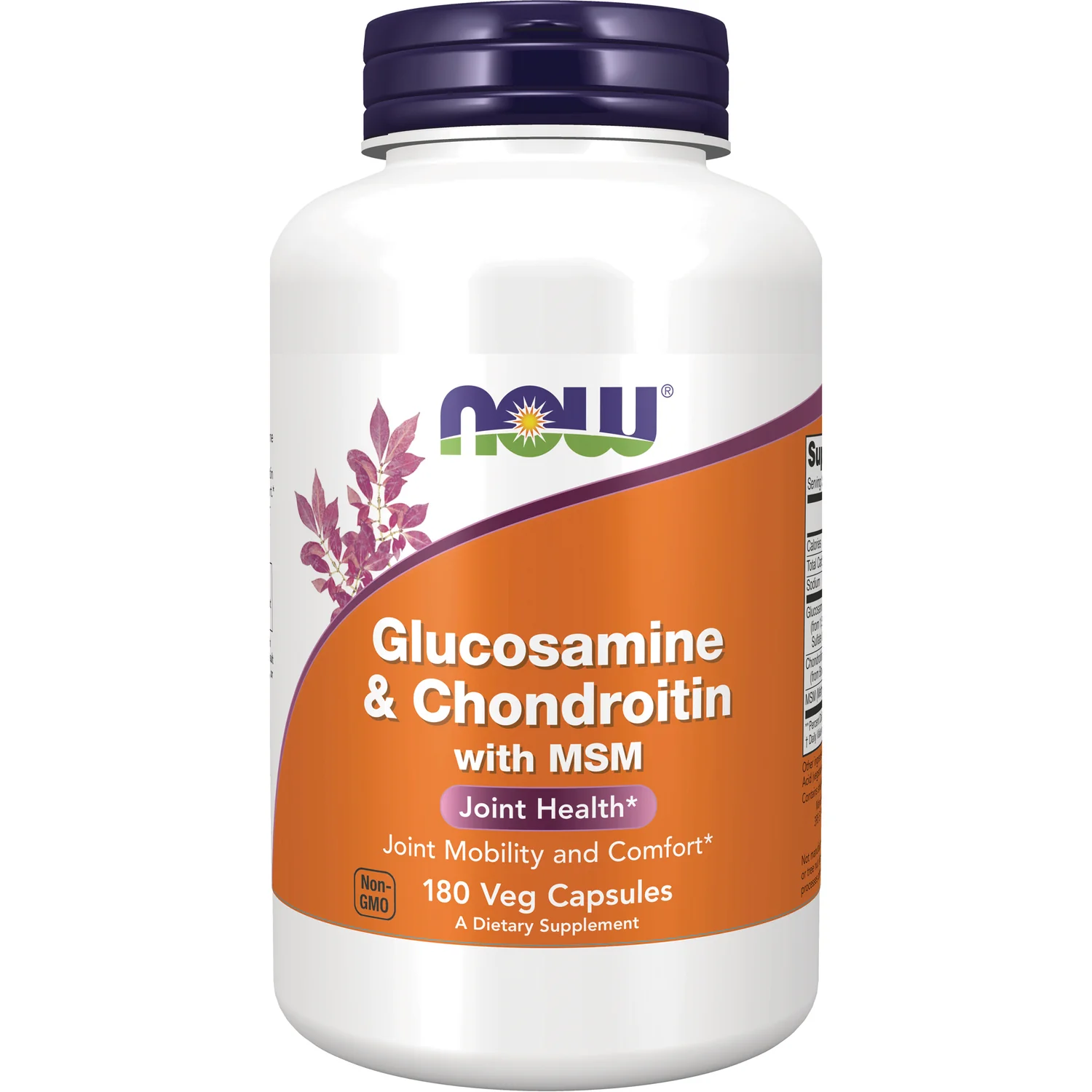 Glucosamine & Chondroitin with MSM - Image 2