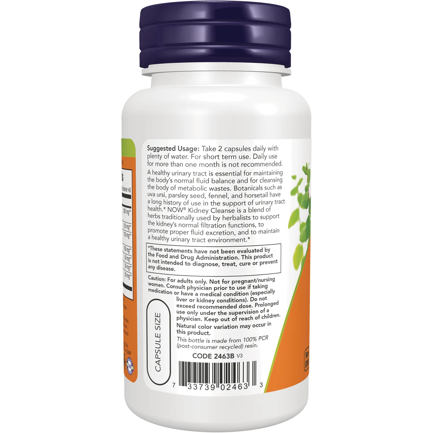 Kidney Cleanse - Image 3