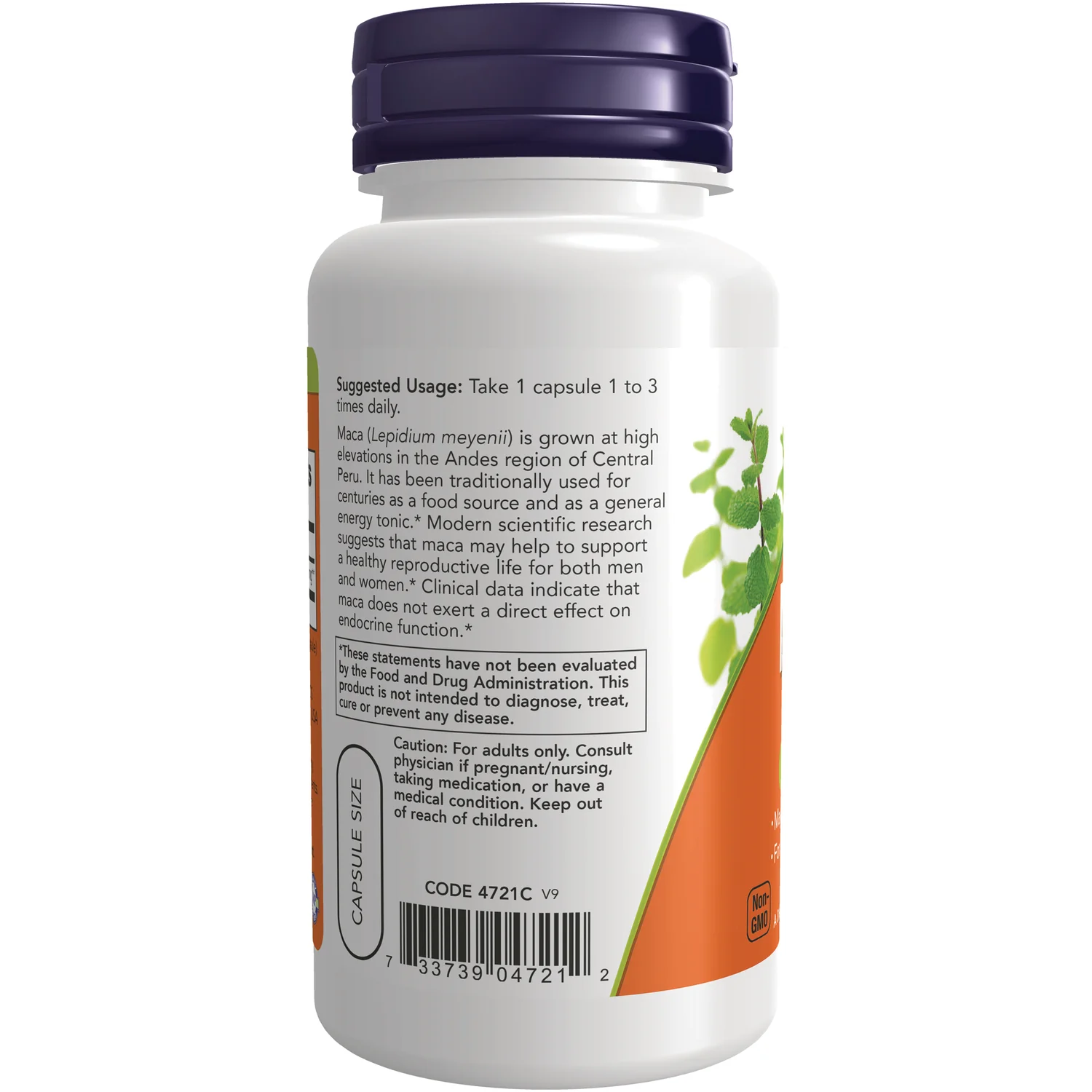 Maca - Image 3