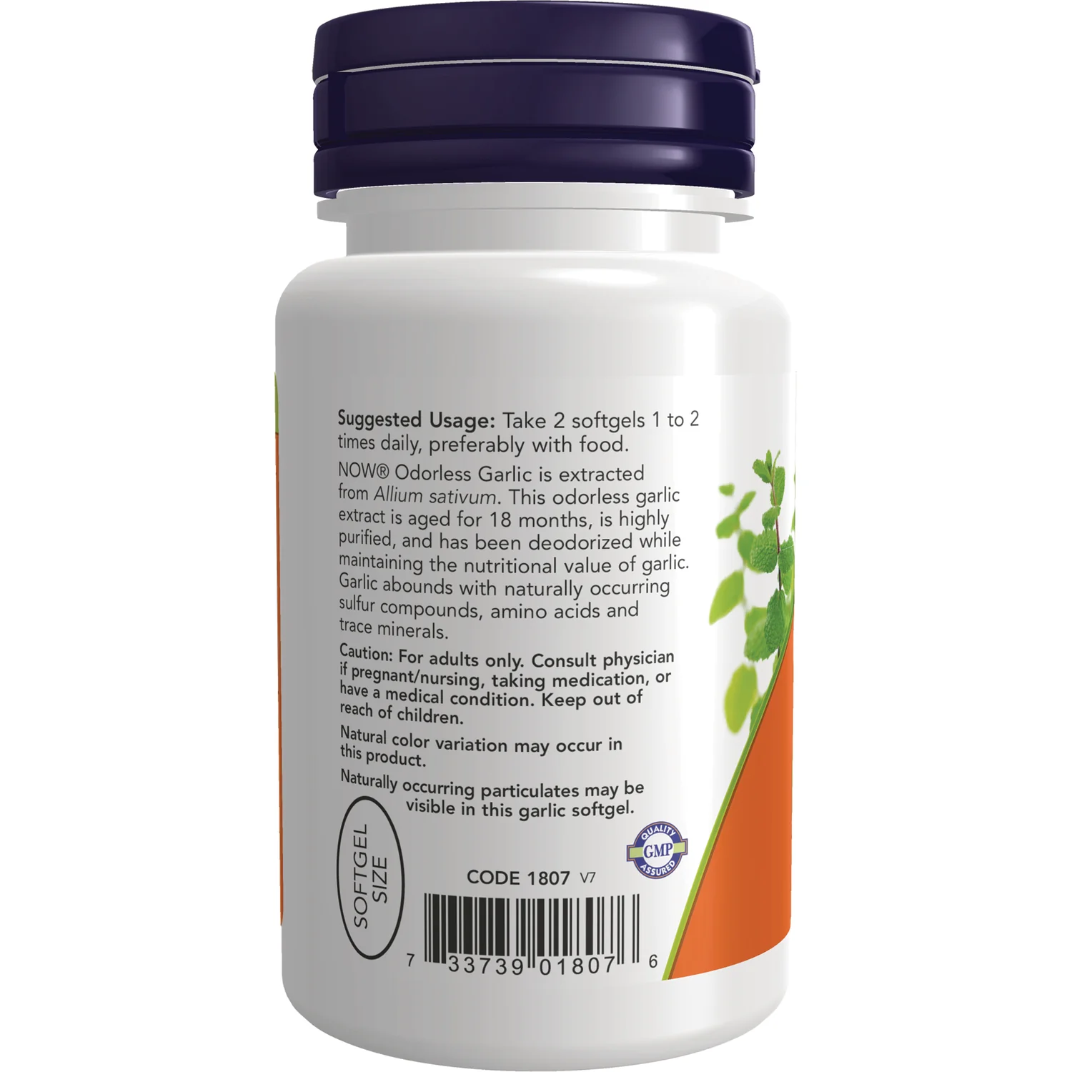 Odorless Garlic - Image 3