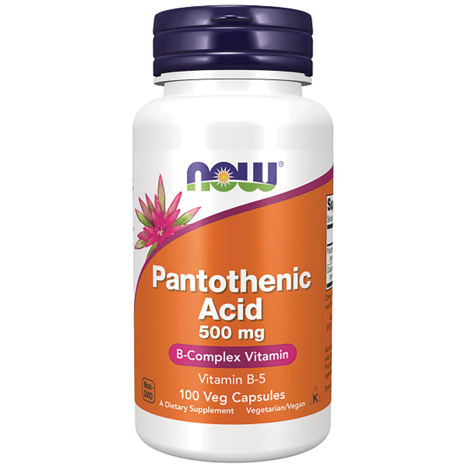 Pantothenic Acid - Image 2
