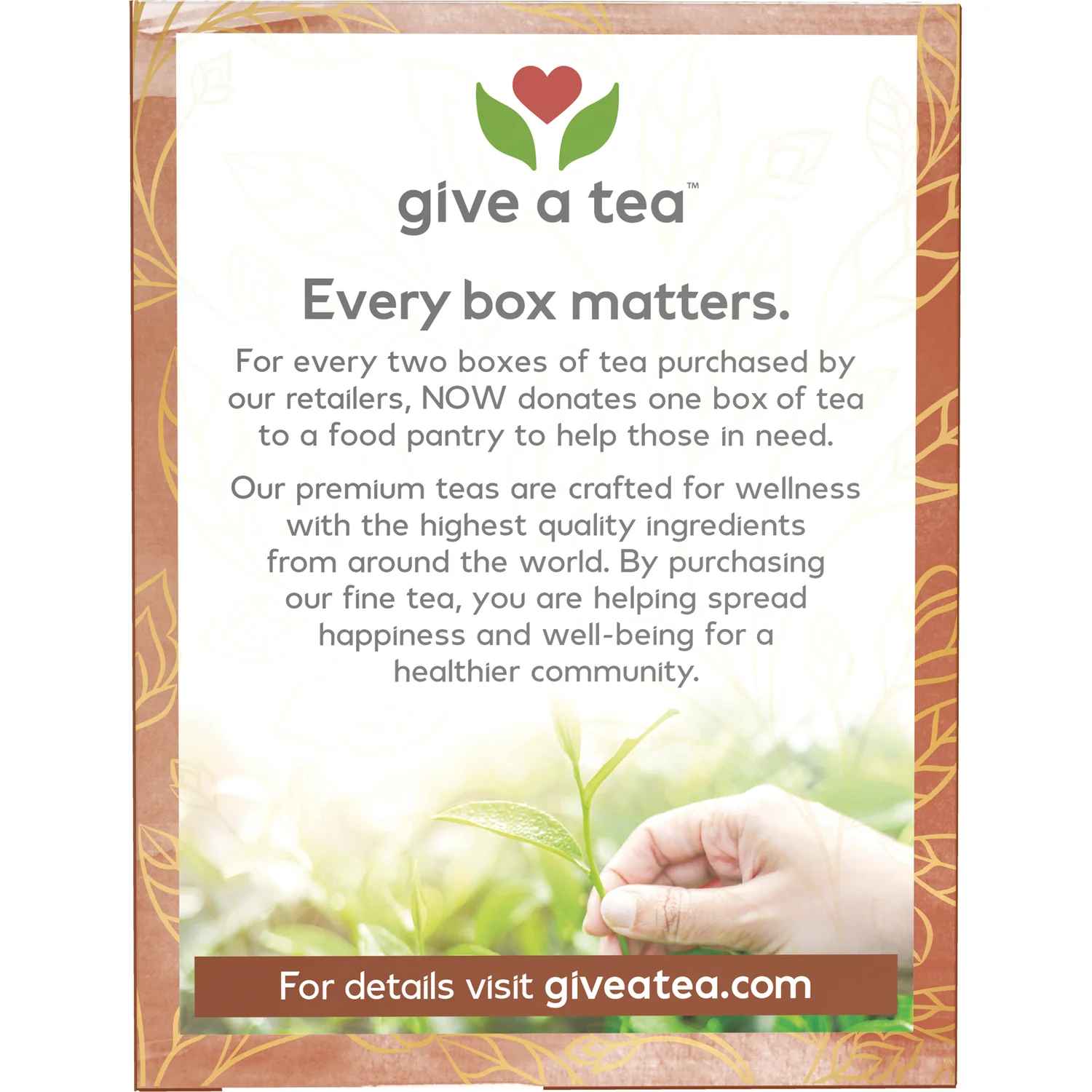Ginger Mint Comfort Tea - Image 3