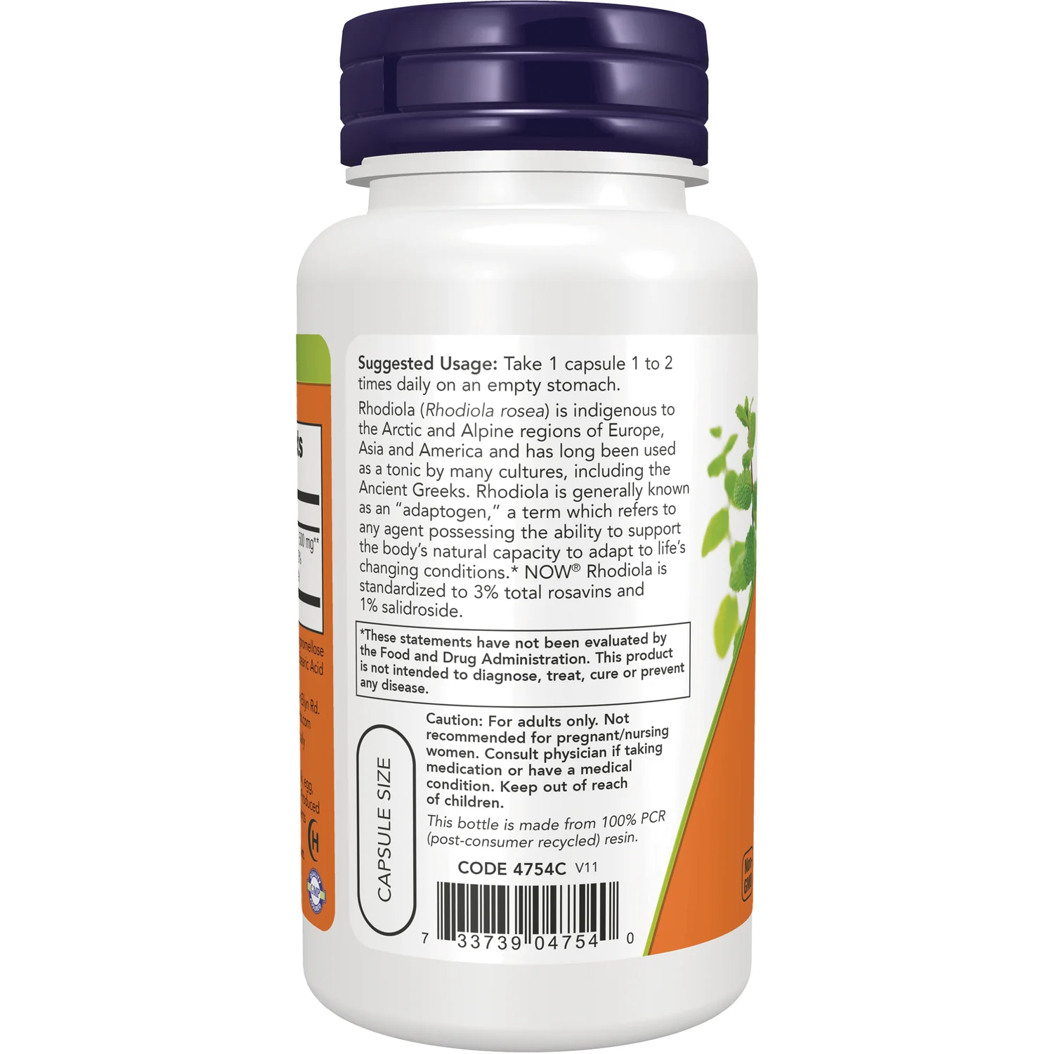 Rhodiola - Image 3