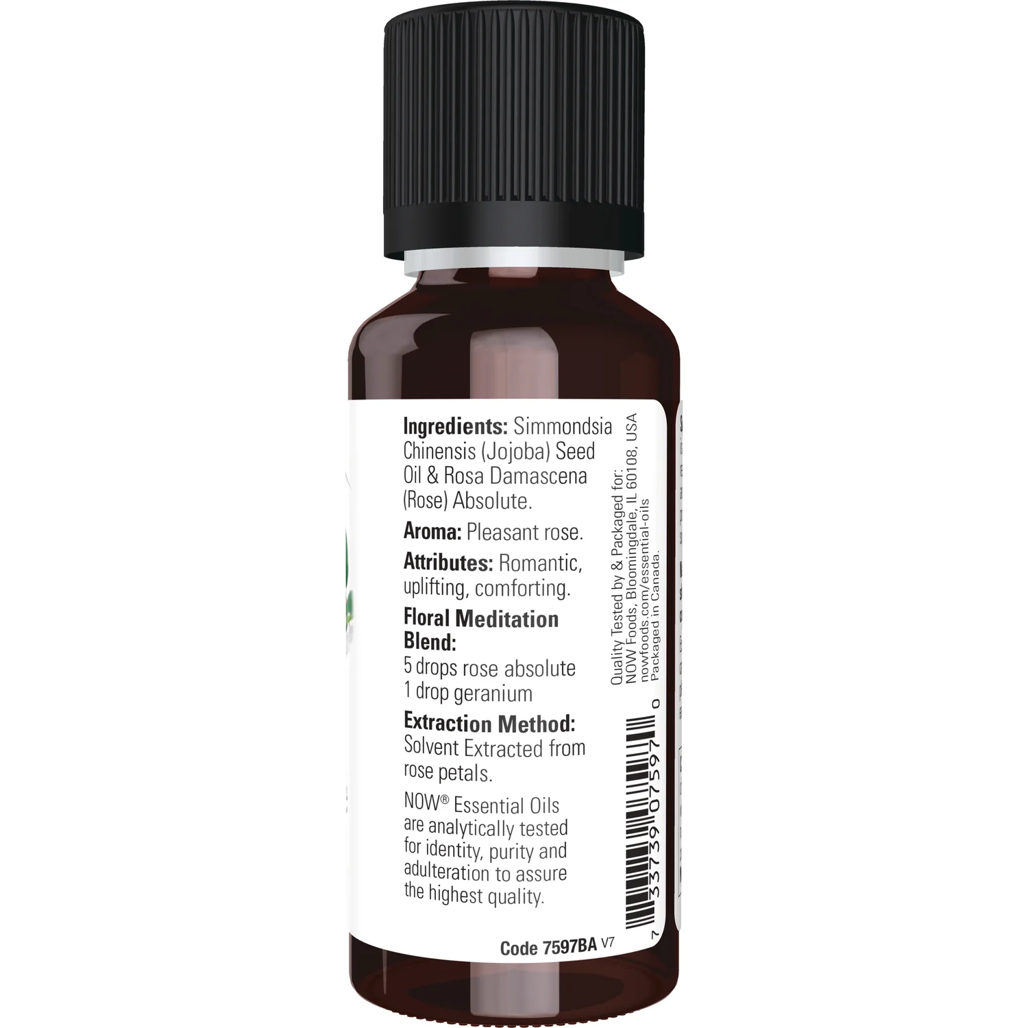 Rose Absolute 5% Oil Blend - Image 2