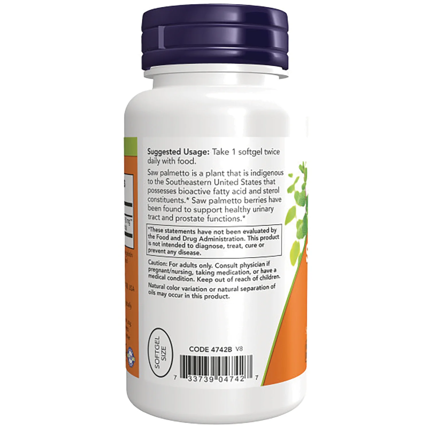 Saw Palmetto Extract - Image 3