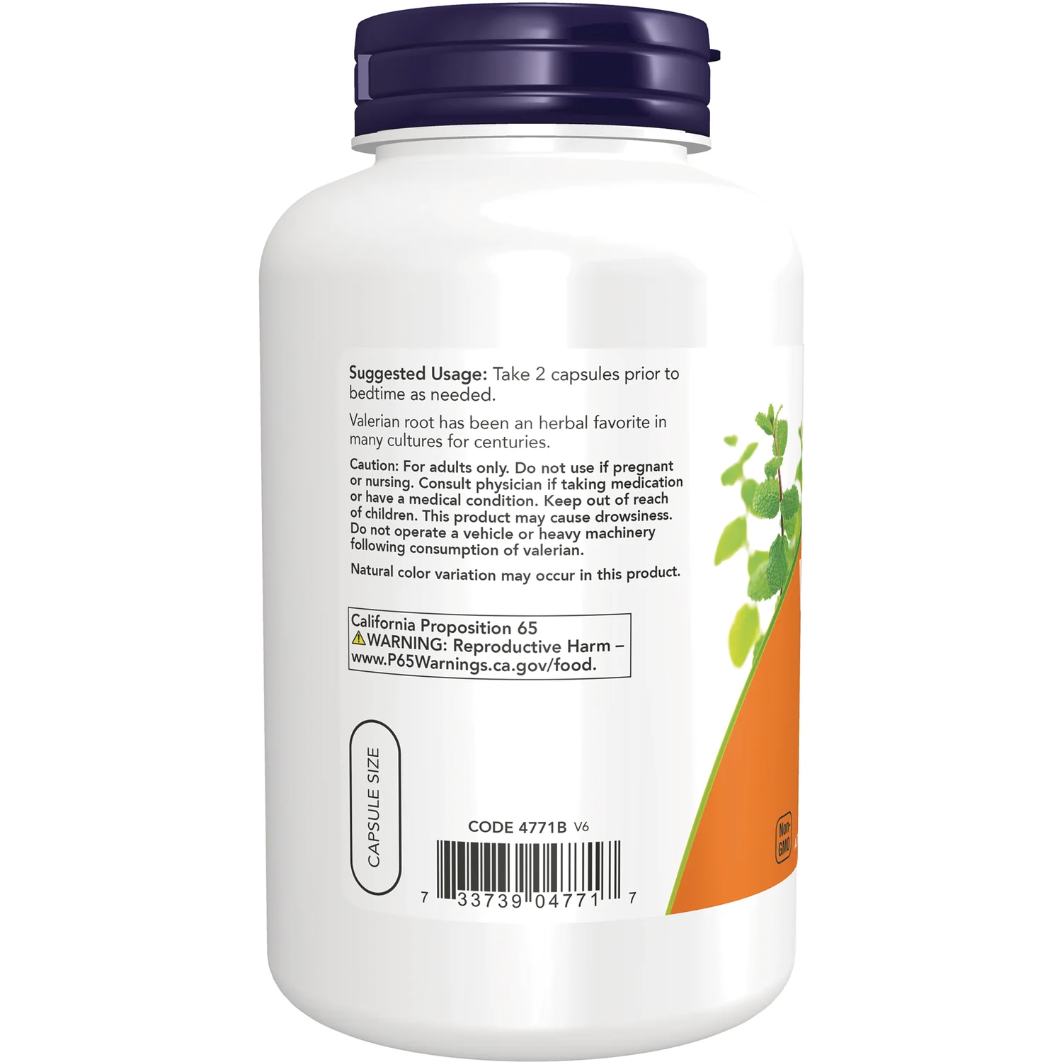 Valerian Root - Image 3
