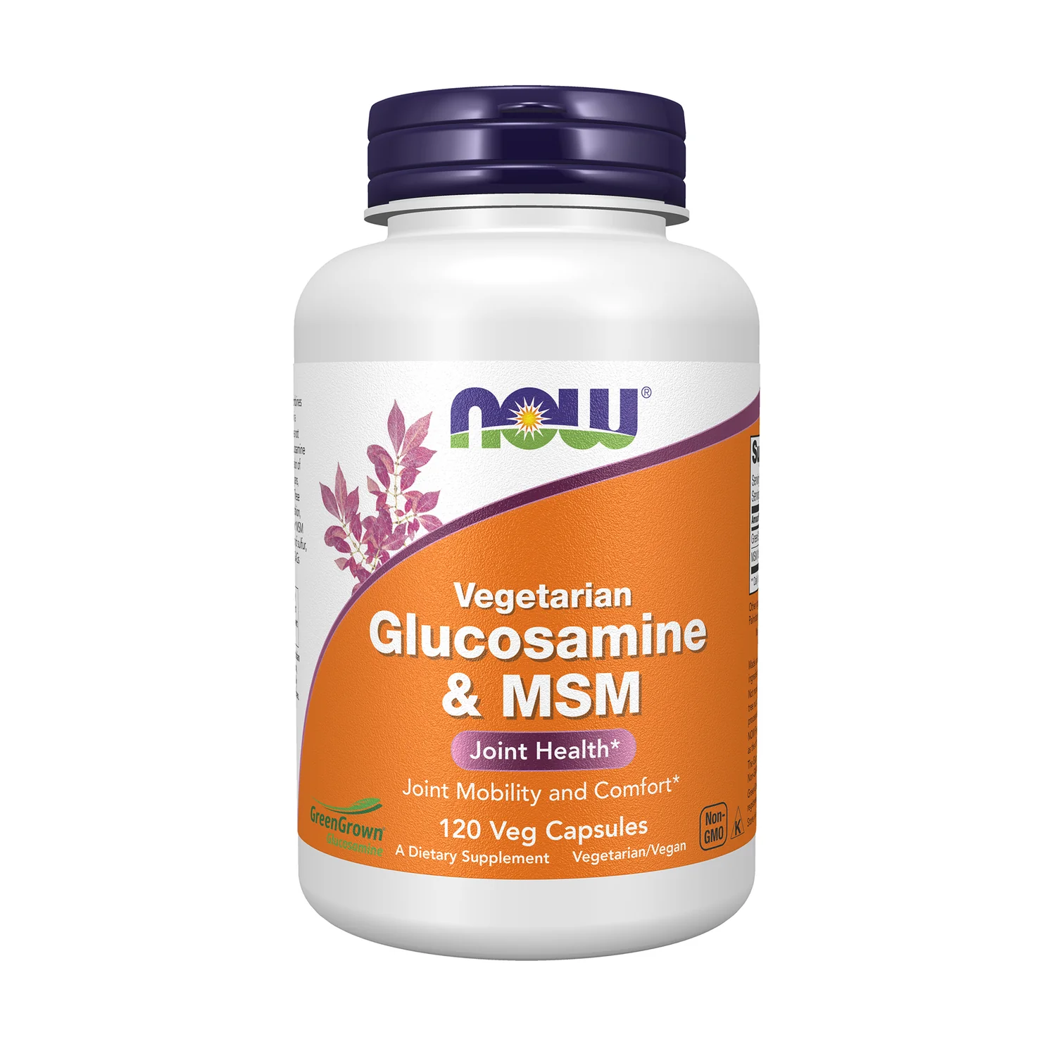 Vegetarian Glucosamine & MSM - Image 2