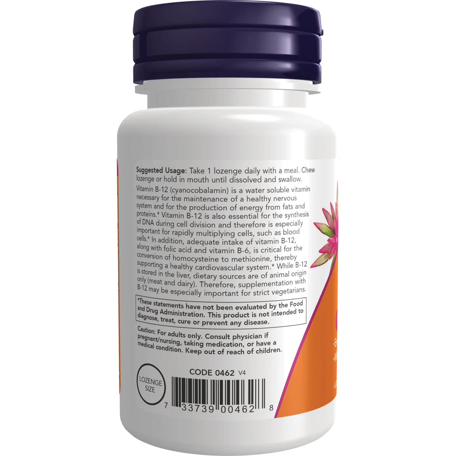 B-12 - Image 3