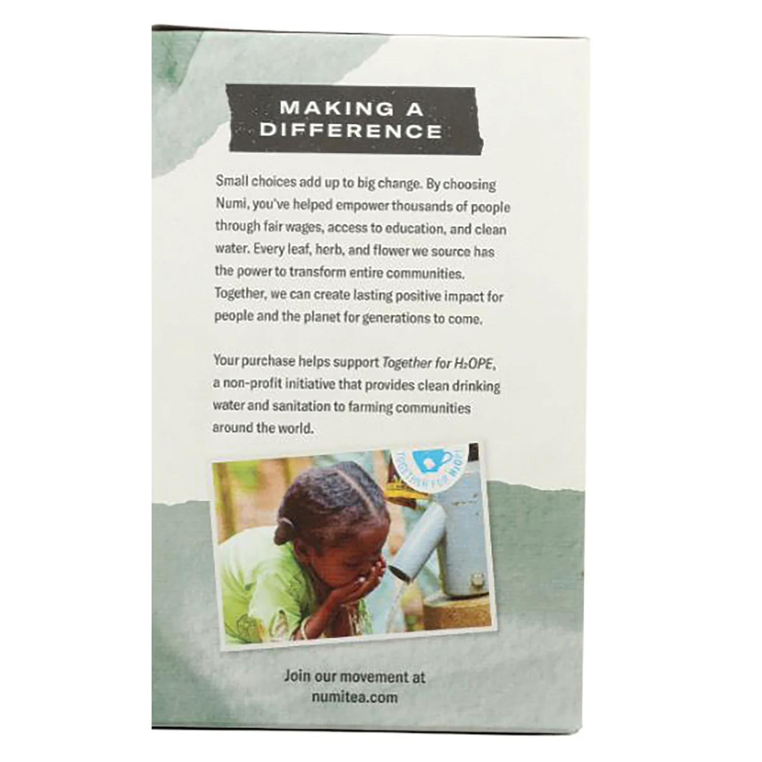 Organic Herbal Teasan - Moroccan Mint - Image 3