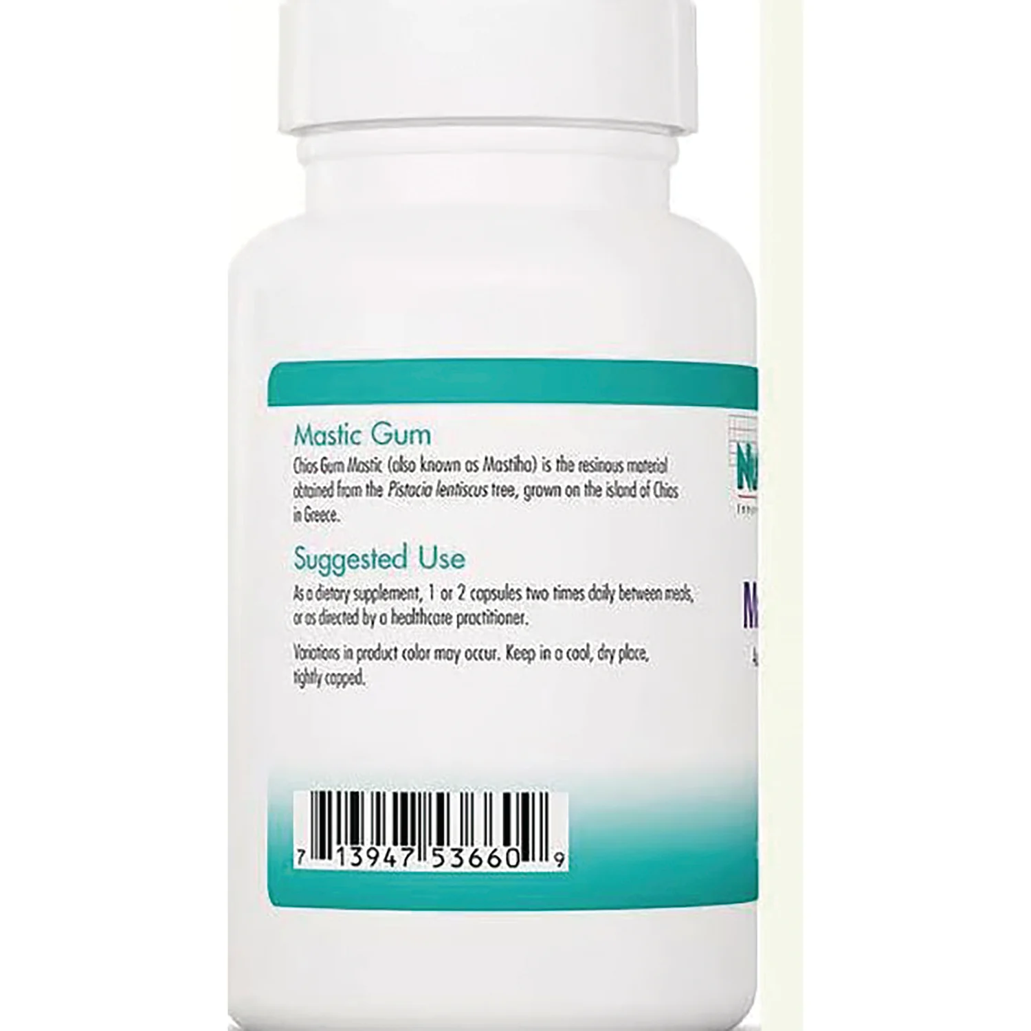 Mastic Gum - Image 3