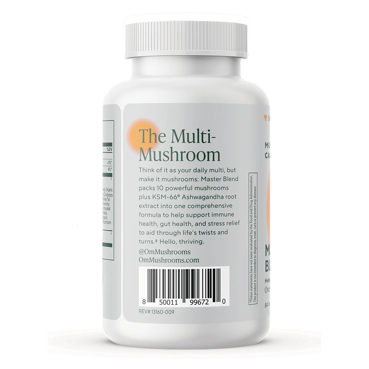 Mushroom Master Blend - Image 3