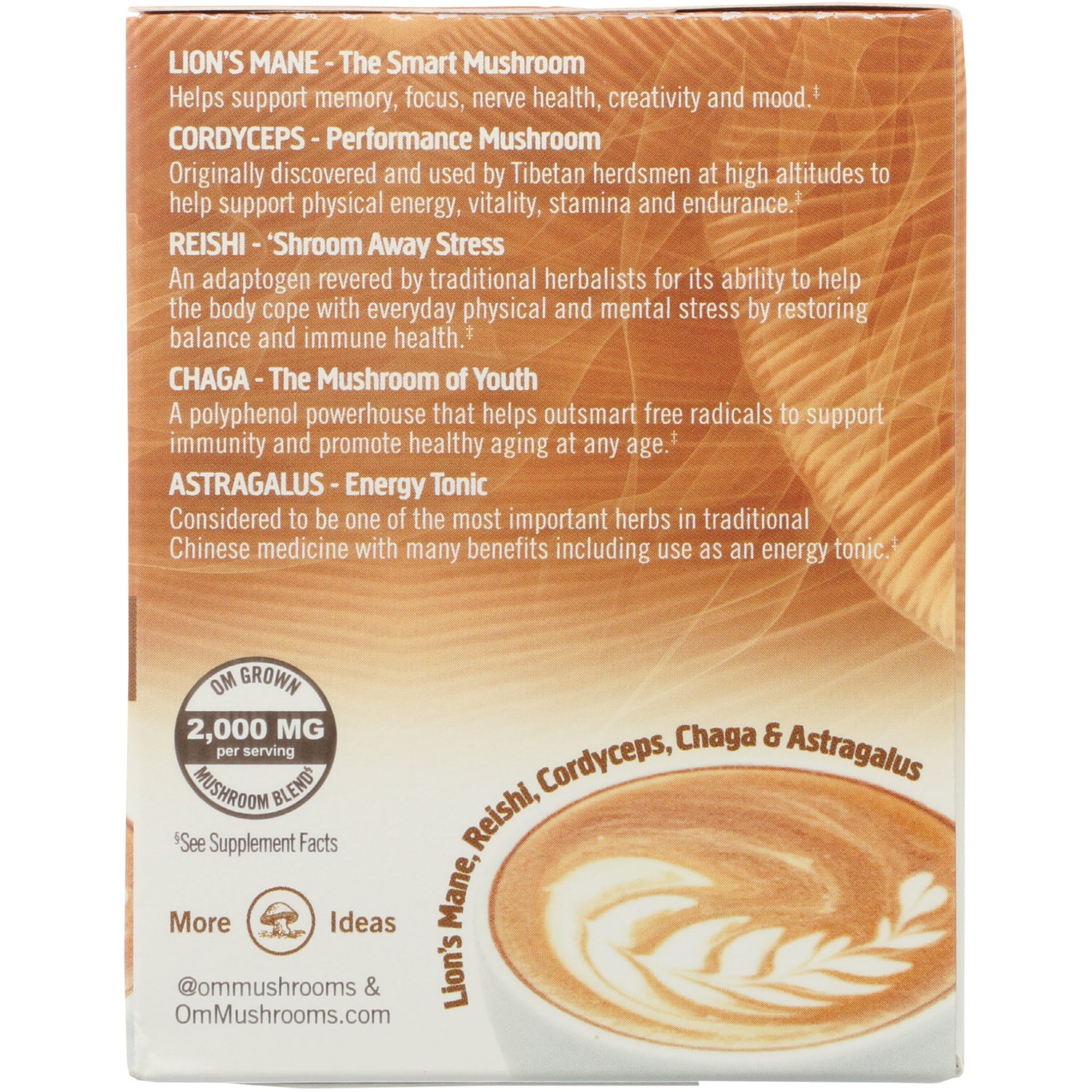 Mushroom Coffee Latte Blend - Image 4