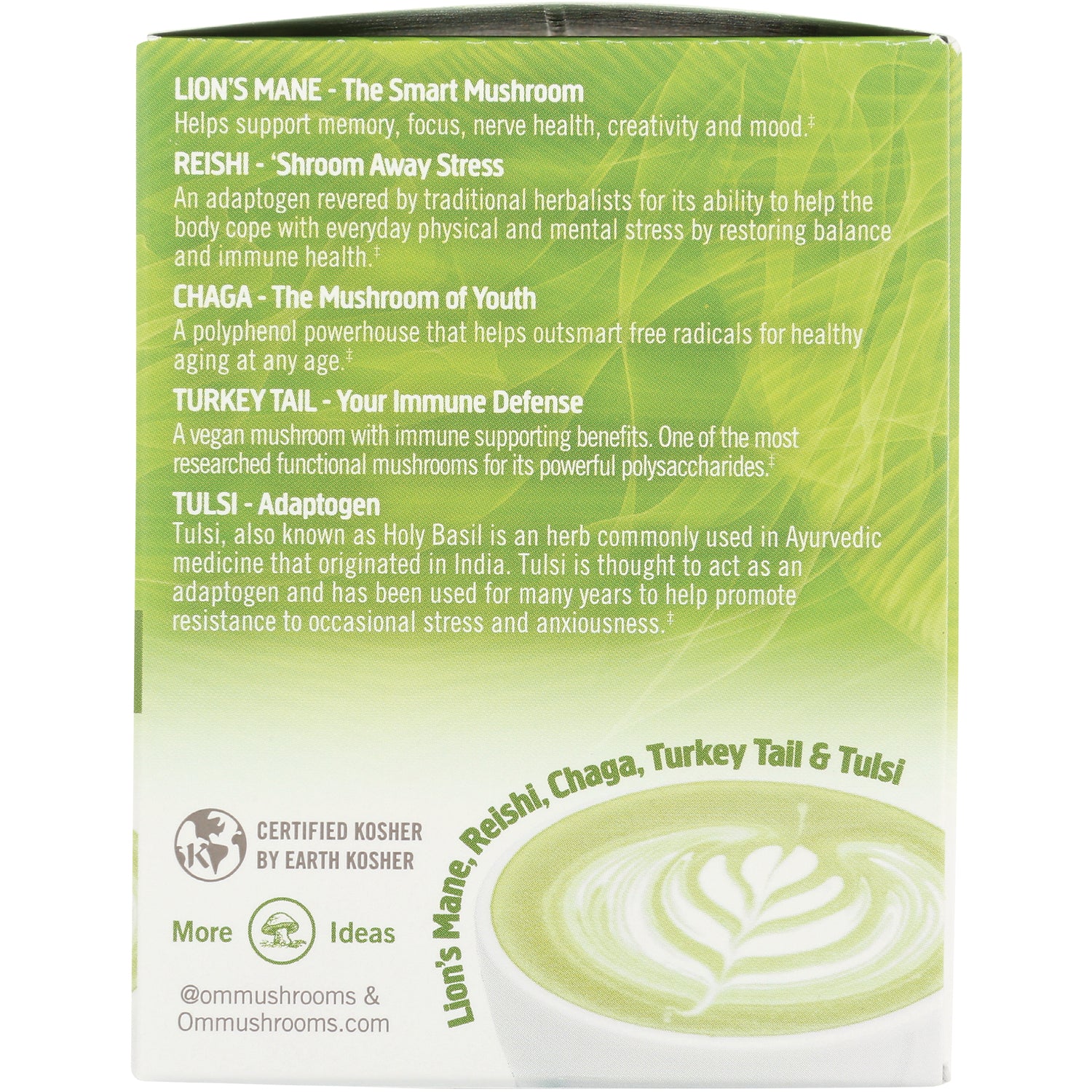 Mushroom Powdered Matcha Latte Blend - Image 4