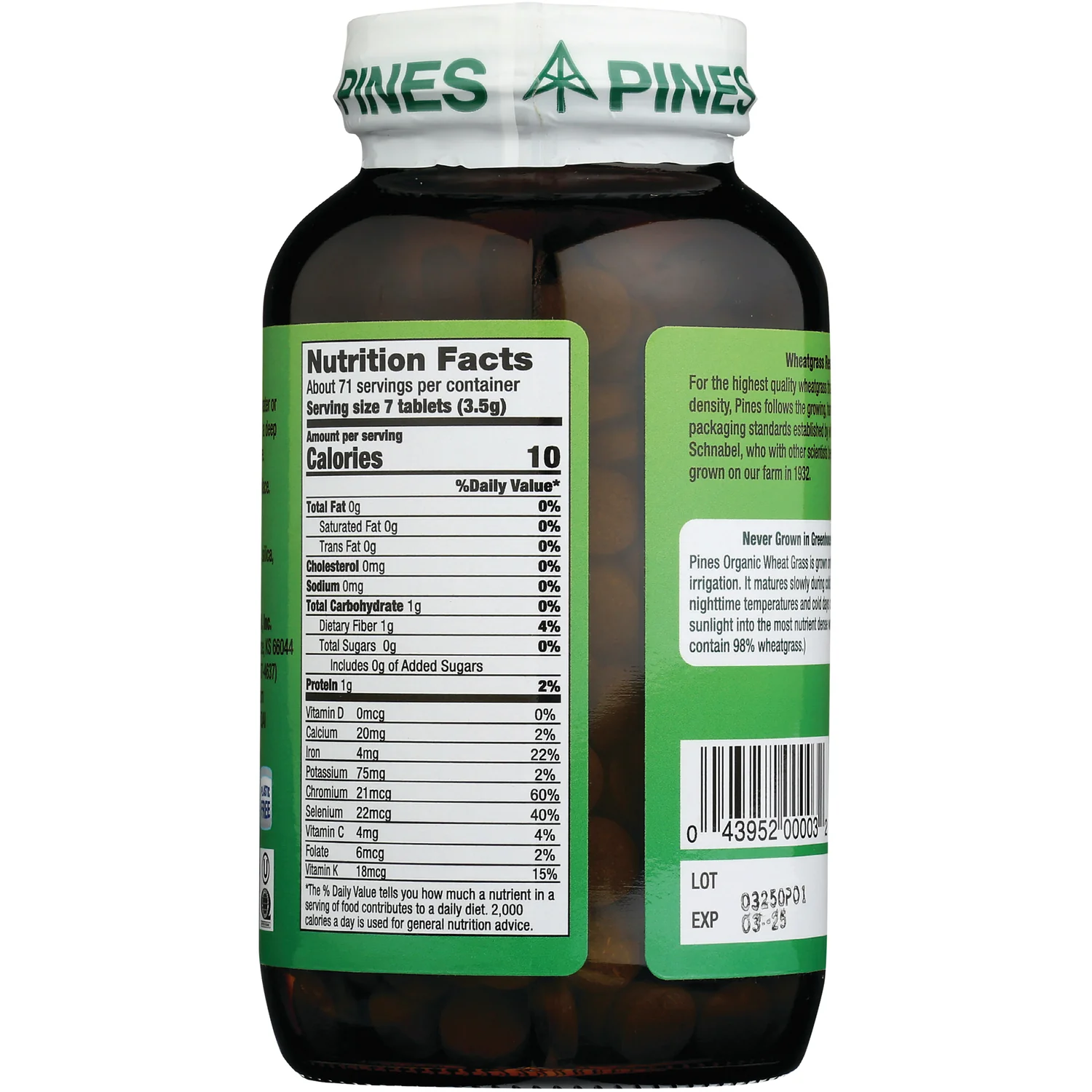 Wheat Grass - Image 2