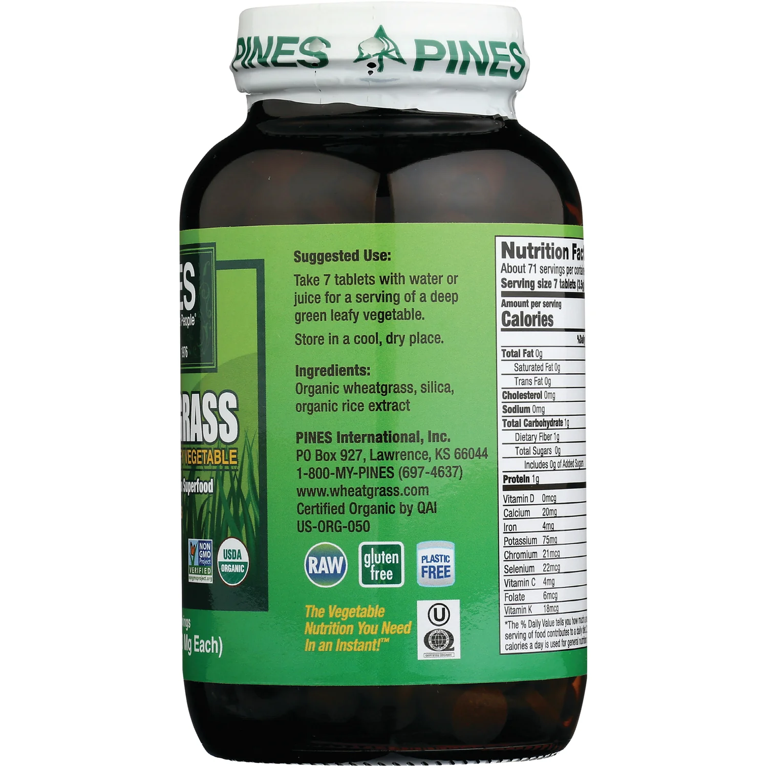 Wheat Grass - Image 3