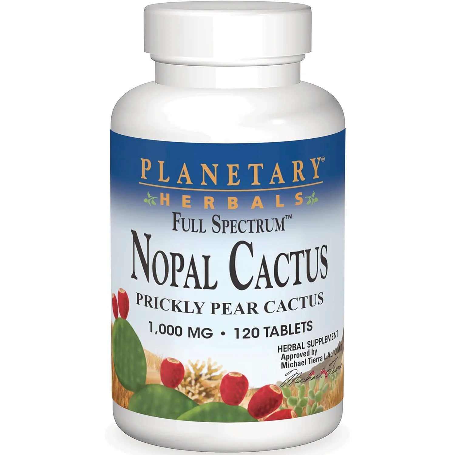 Full Spectrum Nopal Cactus - Image 2