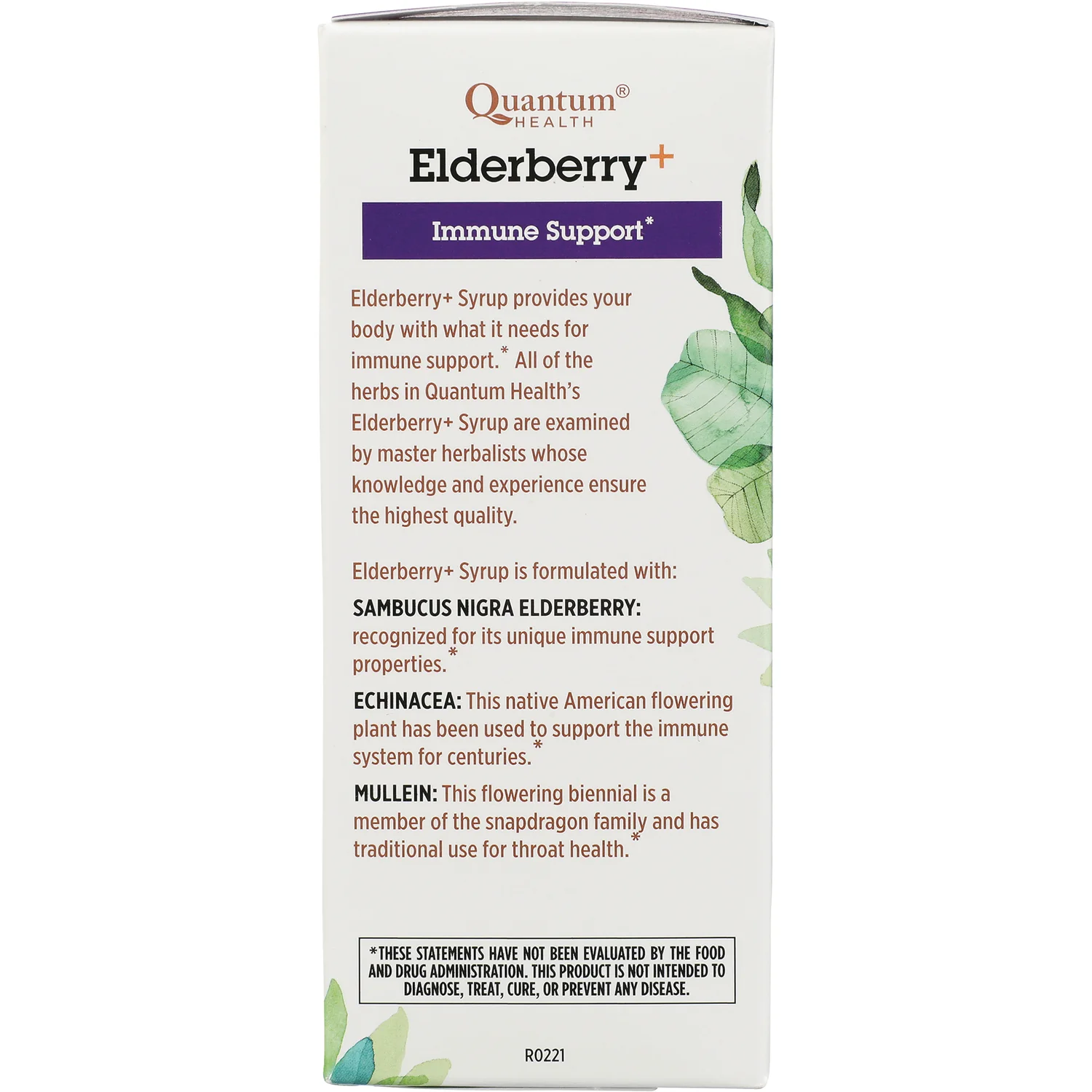 Elderberry+ Syrup - Image 3