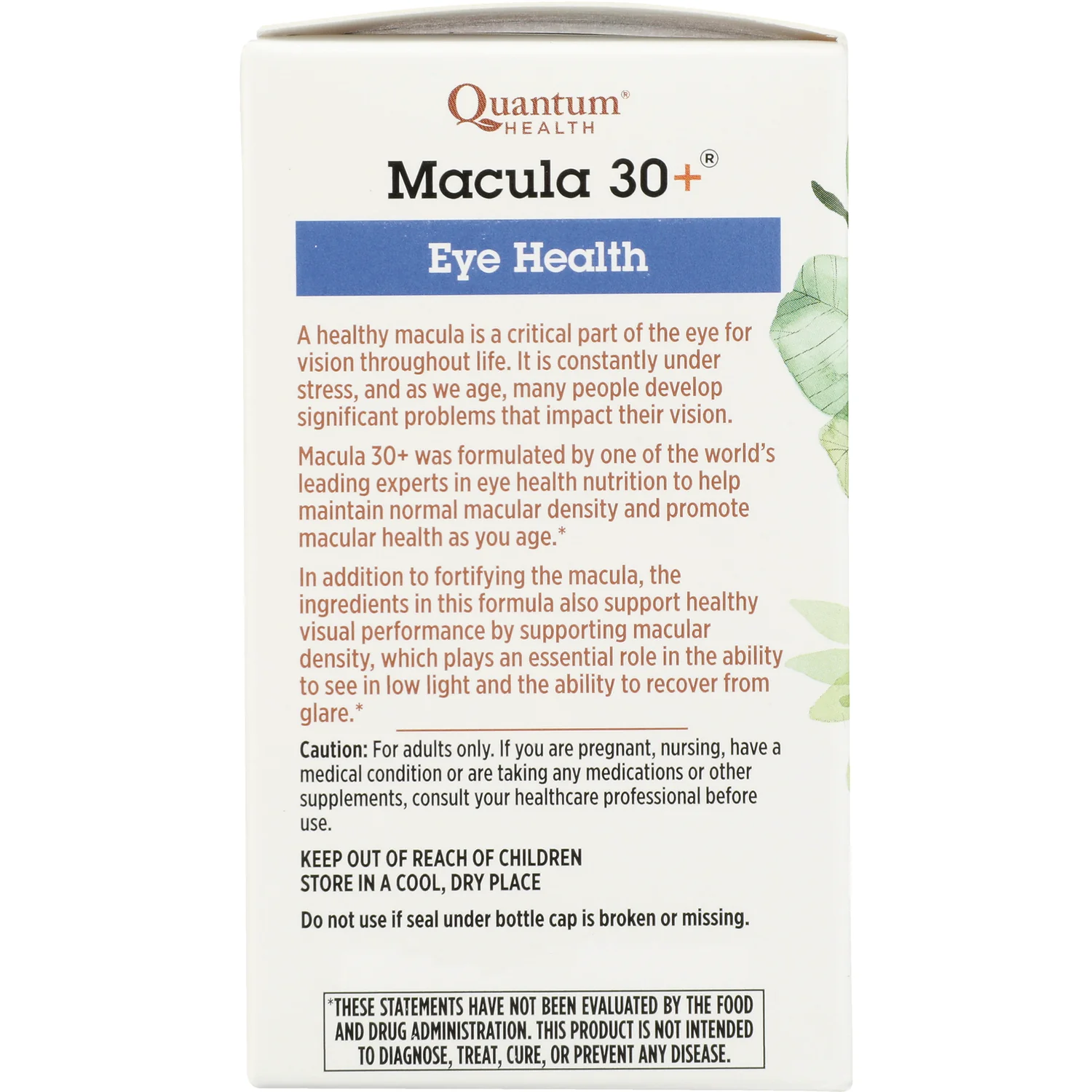 Macula 30+ - Image 3
