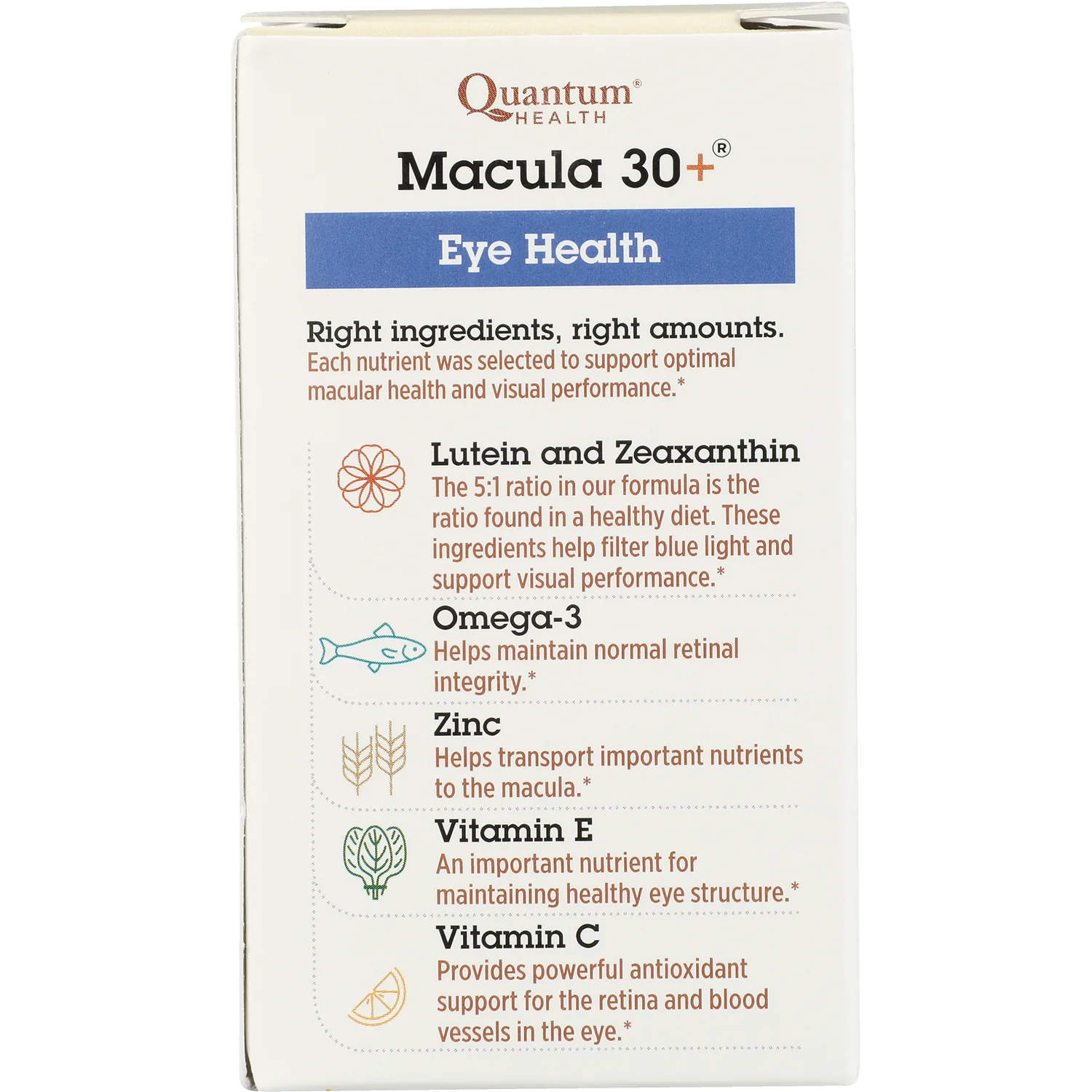 Macula 30+ - Image 4