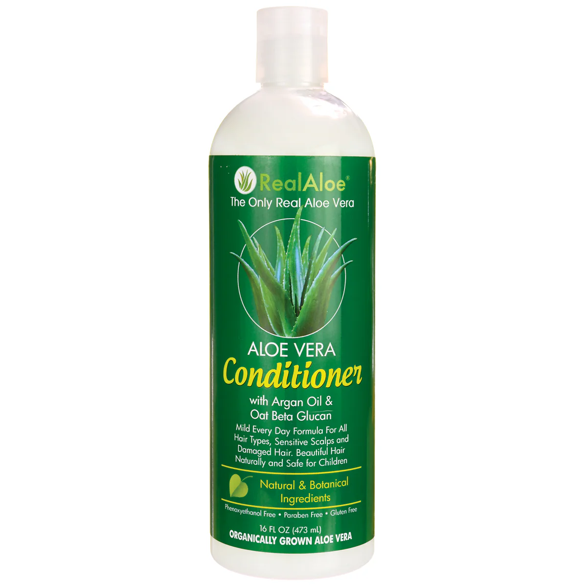 Aloe Vera - Image 2