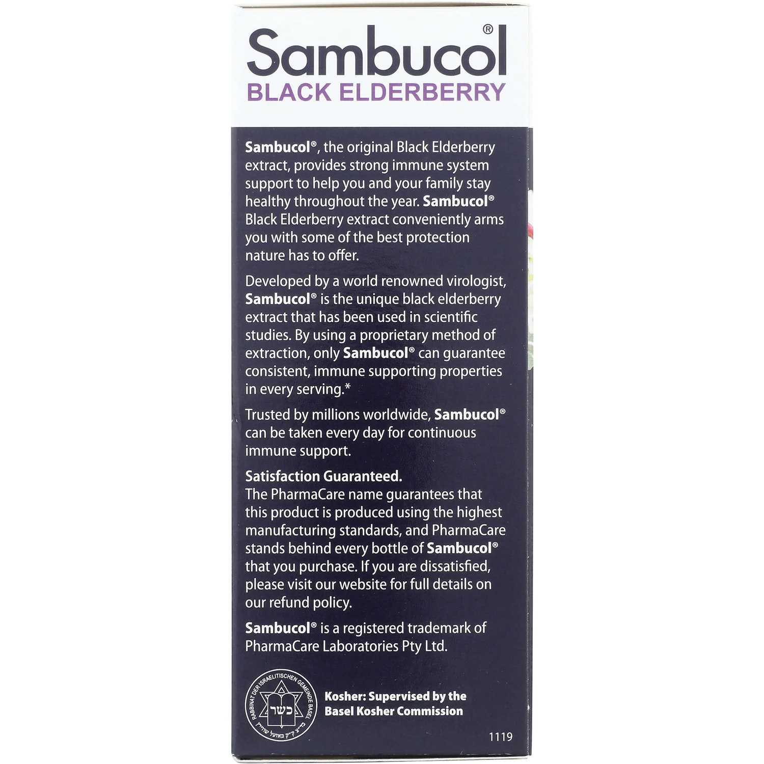 Black Elderberry Syrup - Image 4