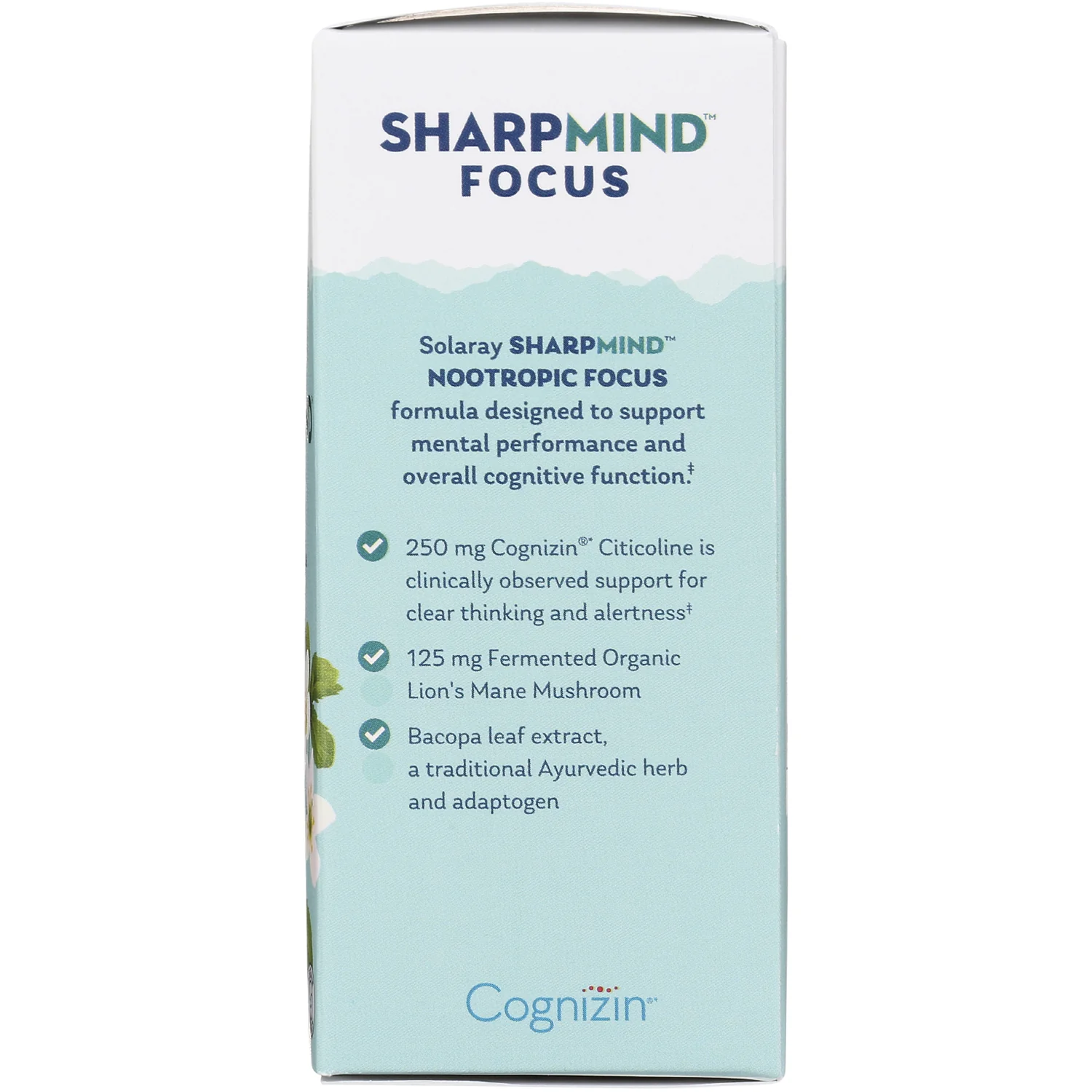 SharpMind Focus - Image 4
