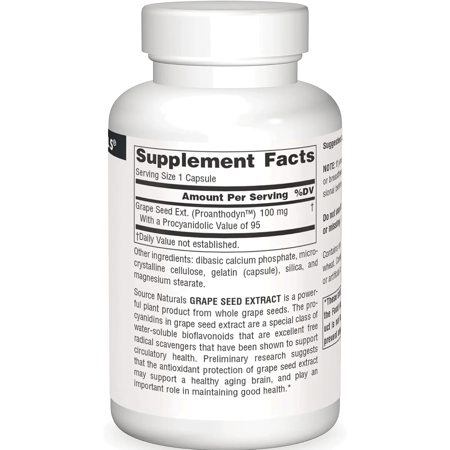 Grape Seed Extract - Image 2