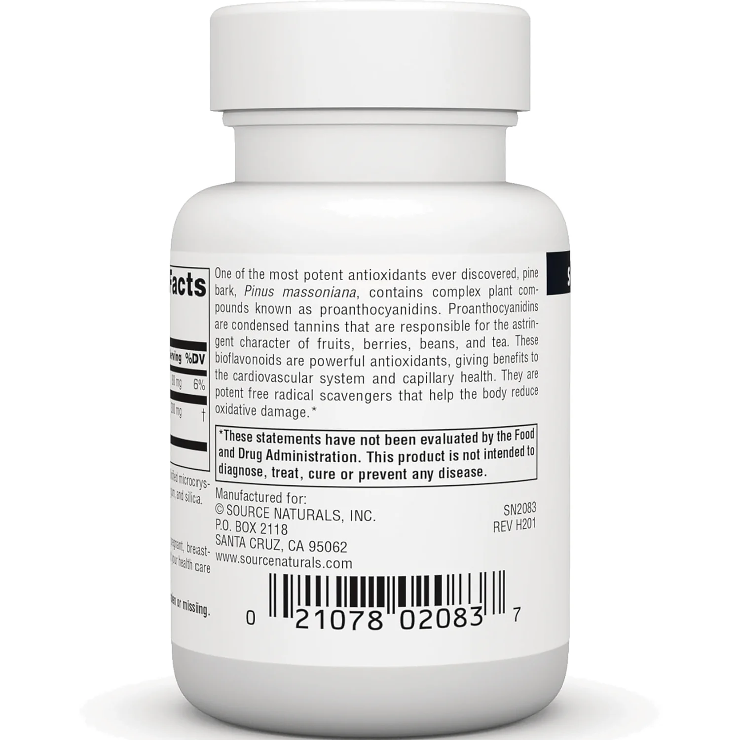 Pine Bark Extract - Image 3