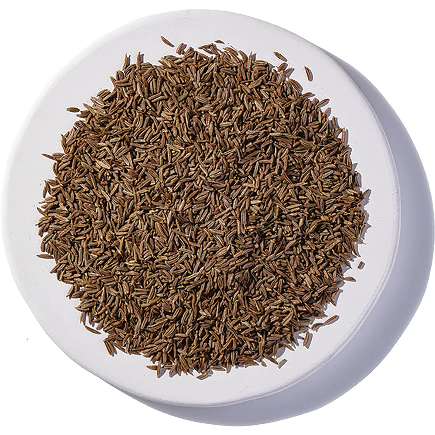 Caraway Seed Organic - Image 2