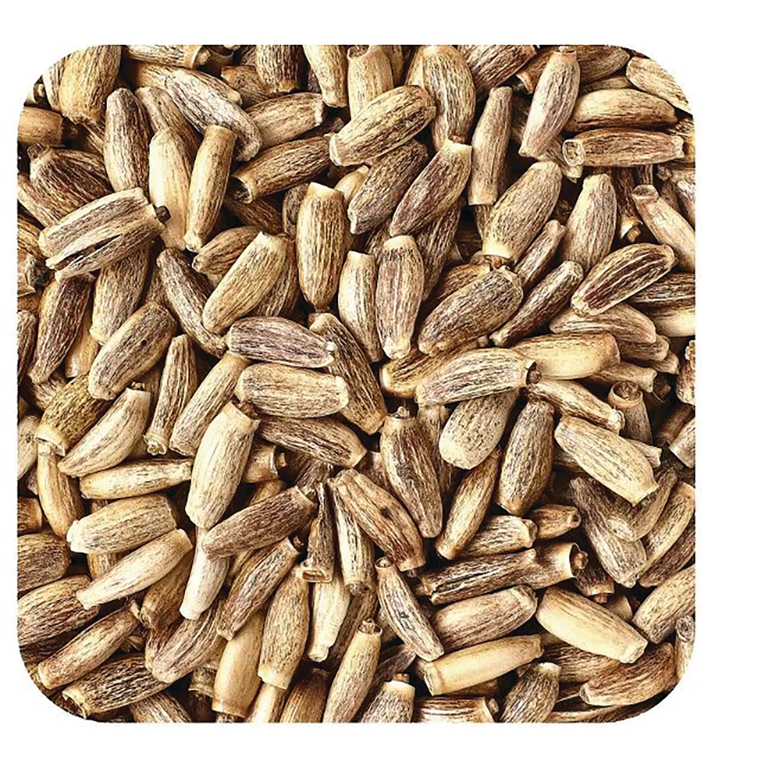Milk Thistle Seed Organic - Image 2