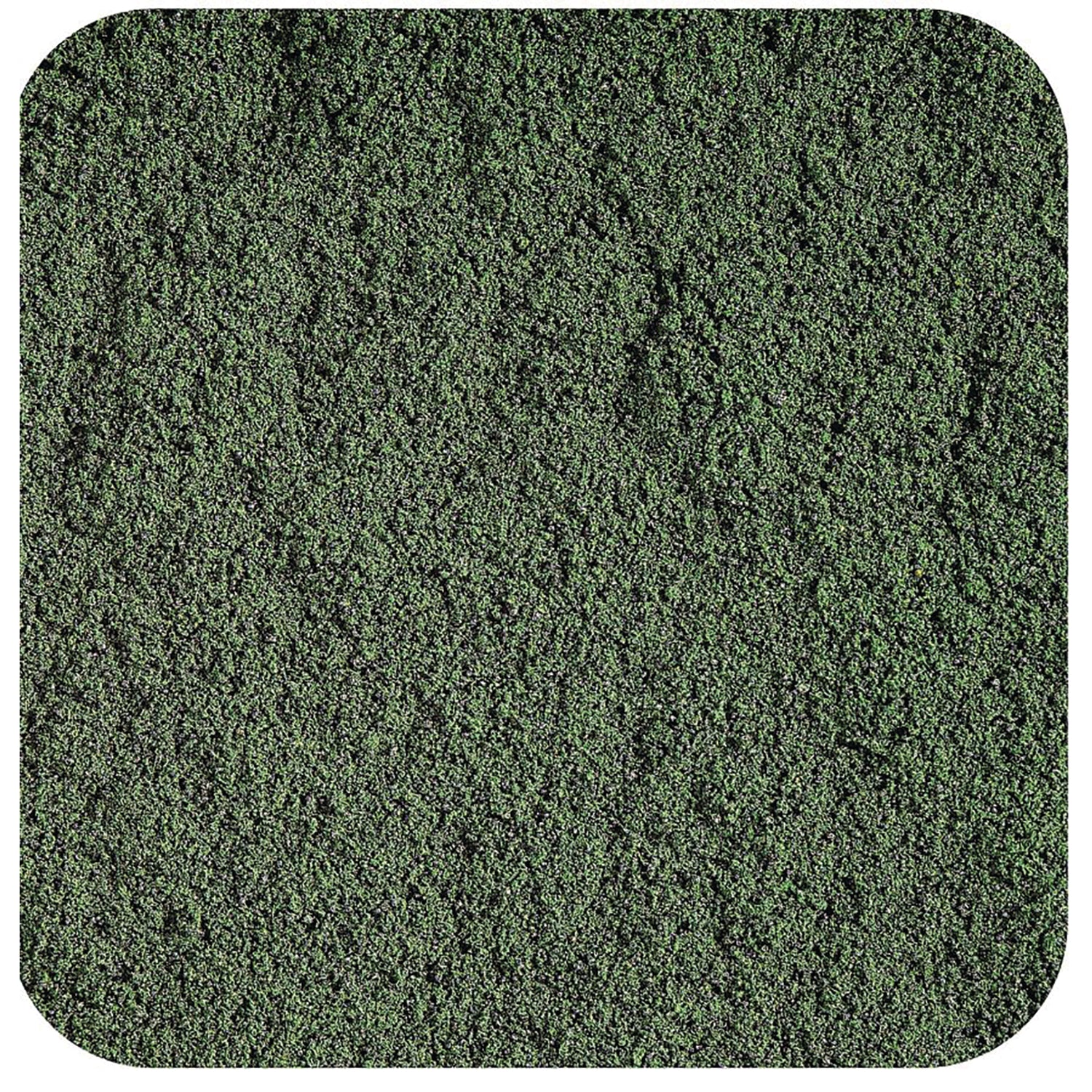 Spirulina Powder Organic - Image 2